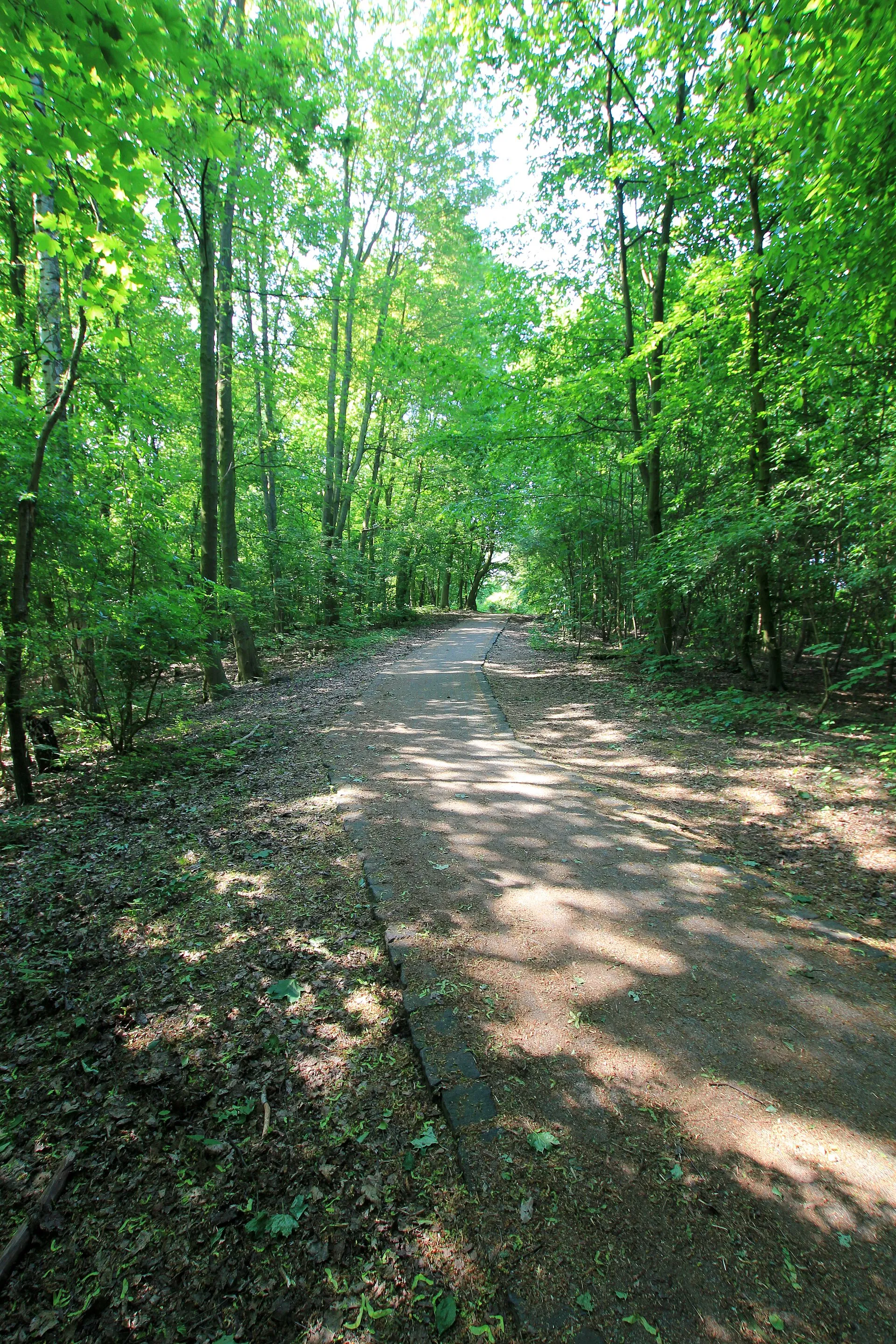 Beethovenpark Köln-Sülz, Bereich Neuenhöfer Allee