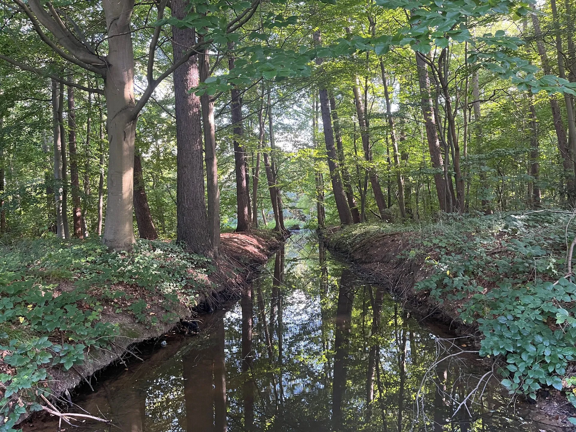 Butzbach zum Unteren Senkelteich