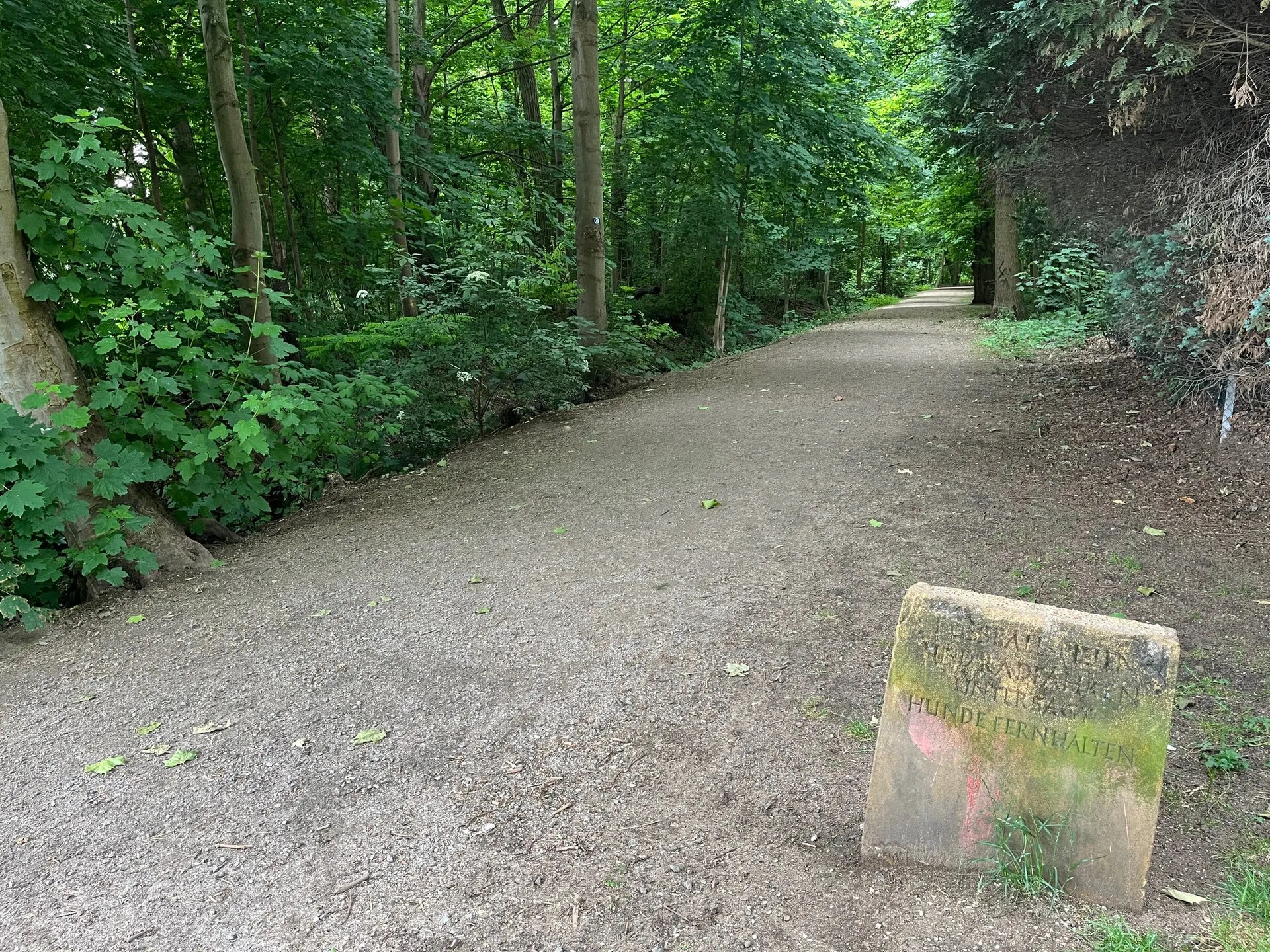 Eingang zum Bieselwald, von der Sankt-Anno-Straße