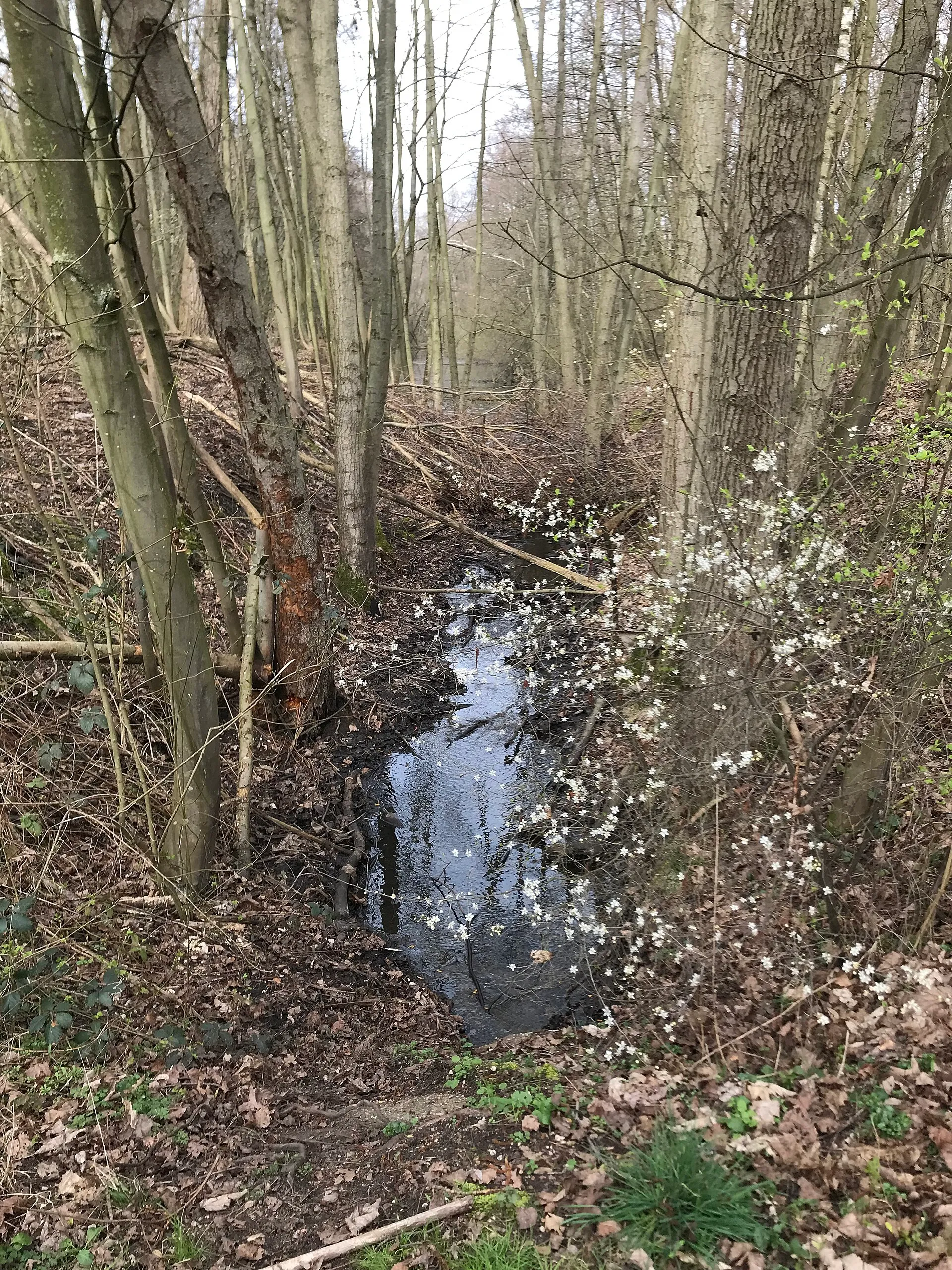 Canal running off from the Nordfeldweiher and feeding the Bleibtreusee