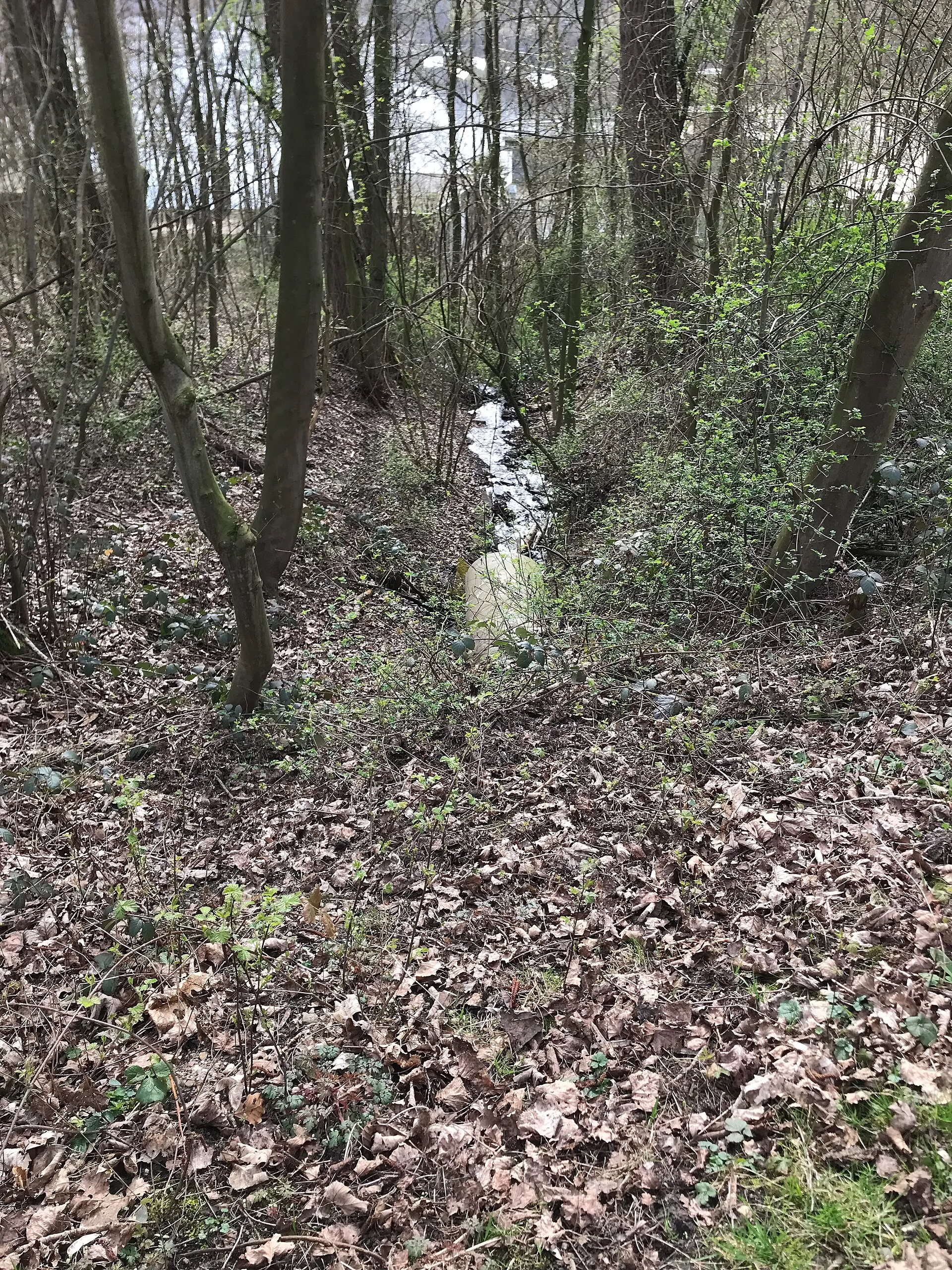 Canal feeding the Bleibtreusee, culverted underneath a hiking path