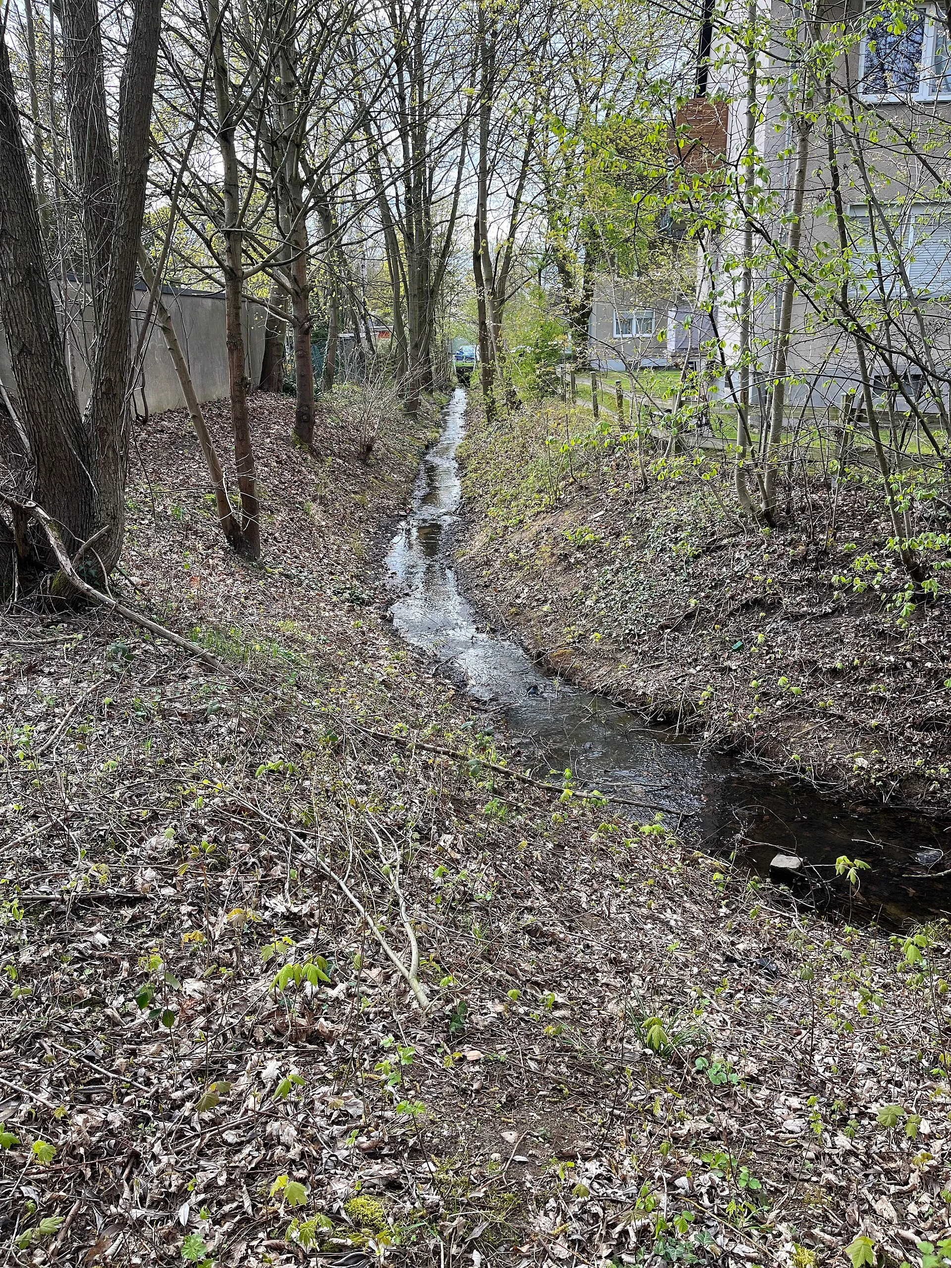 Der Butzbach vom Verbindungsweg Sankt-Anno-Straße zu Birkenweg aus (in Fließrichtung, Richtung Tannenweg blickend).