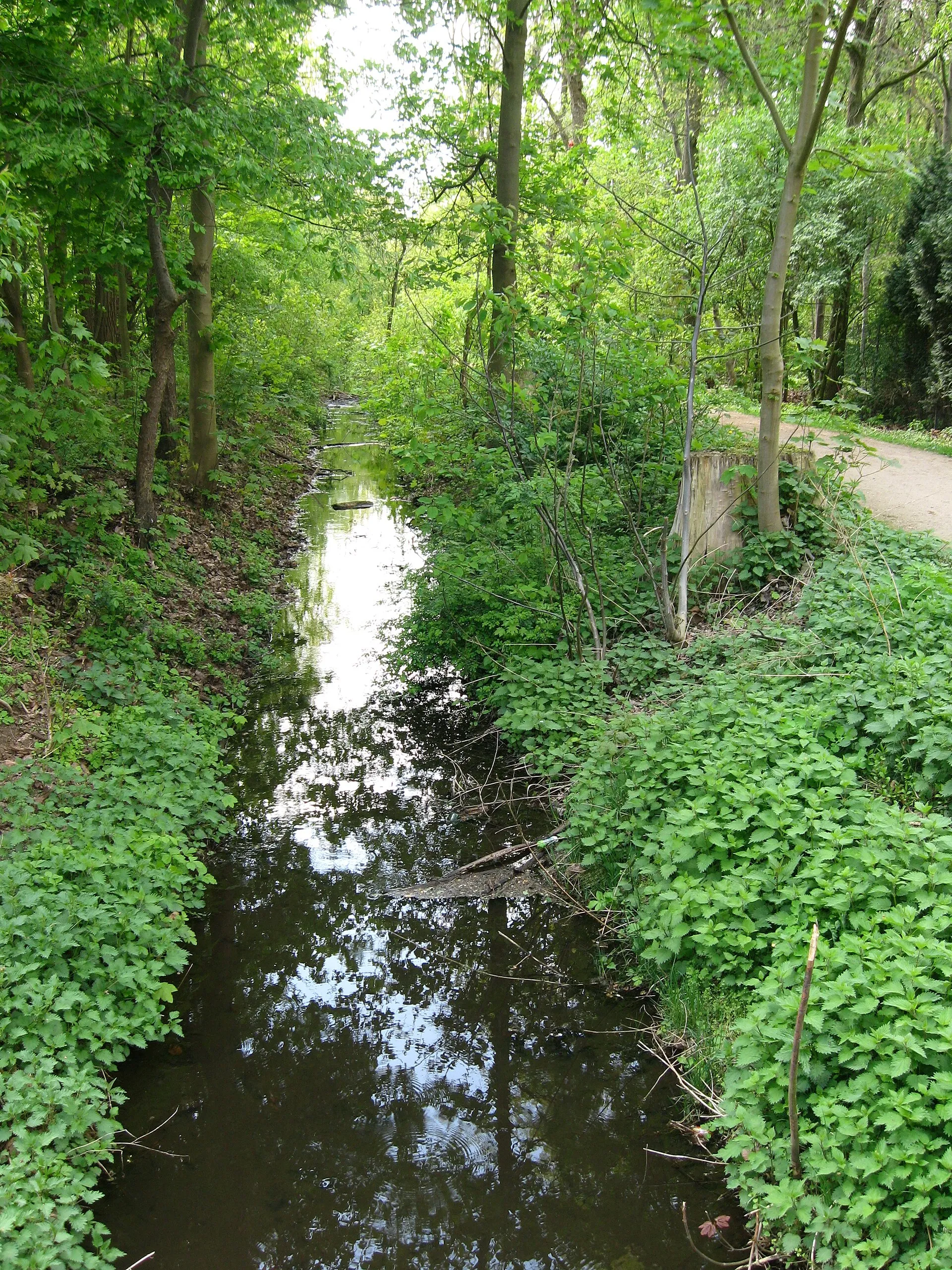 Landschaftsschutz- und Naherholungsgebiet Bieselwald