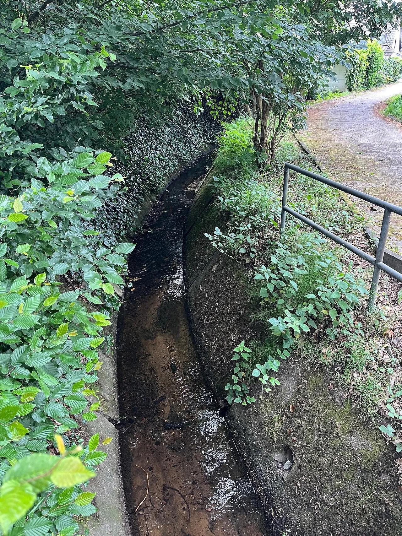 Butzbach, am Grengeler Mauspfad