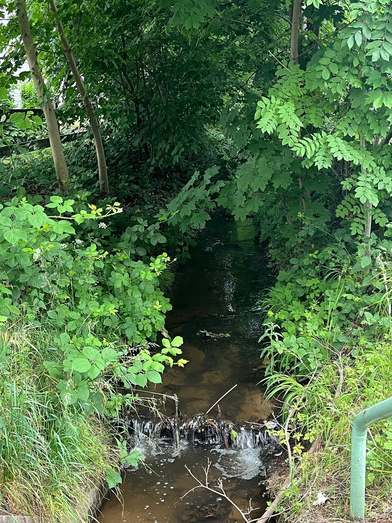 Grengel: Der Butzbach am Tannenweg