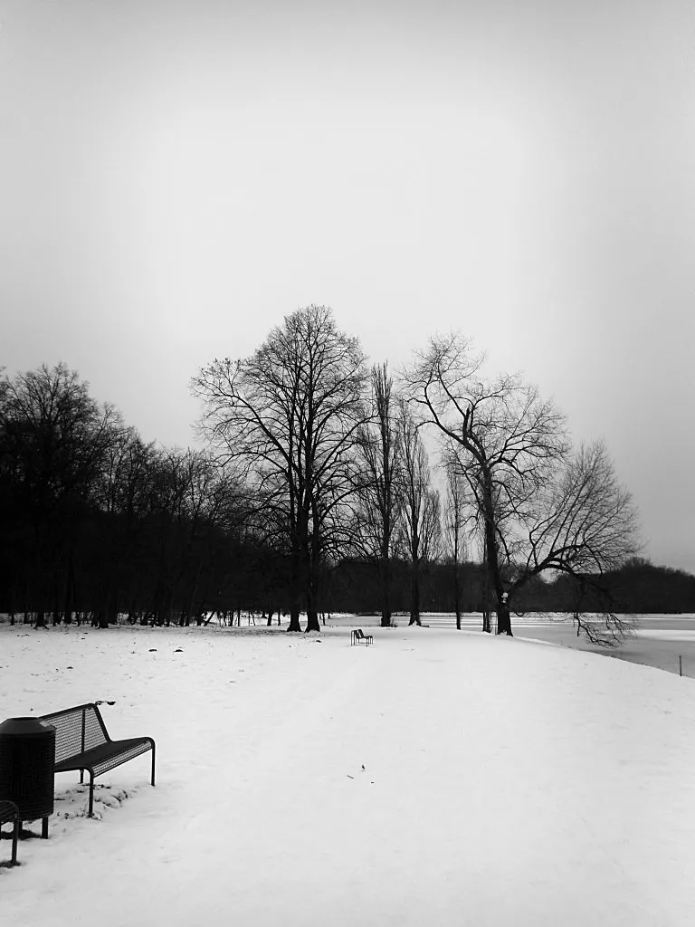 Decksteiner Weiher im Winter