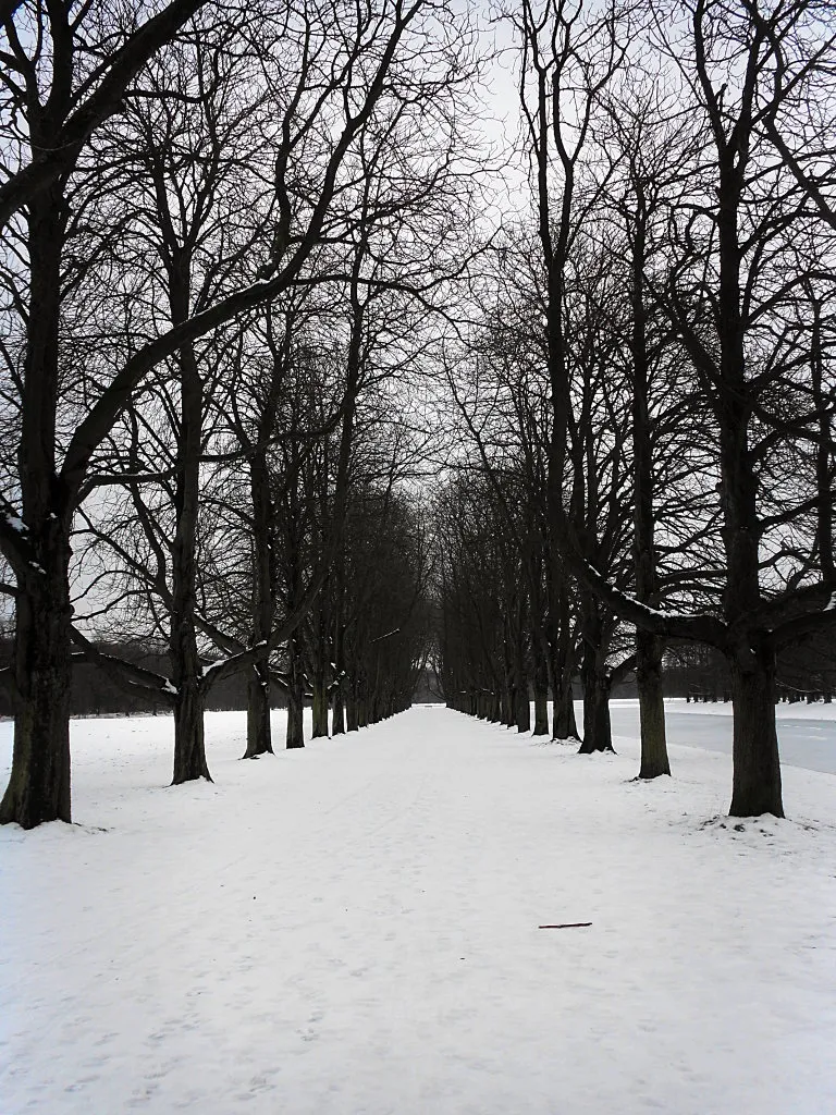 Decksteiner Weiher im Winter