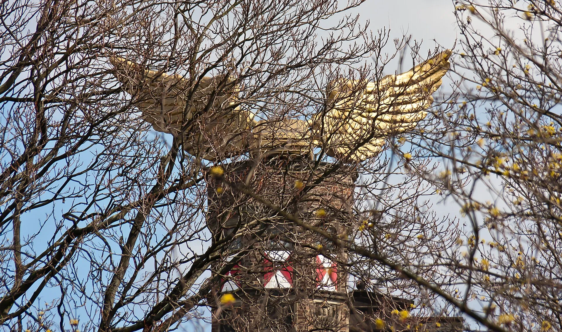 Flügelauto von HA Schult auf dem Treppenturm des Zeughaus Köln
