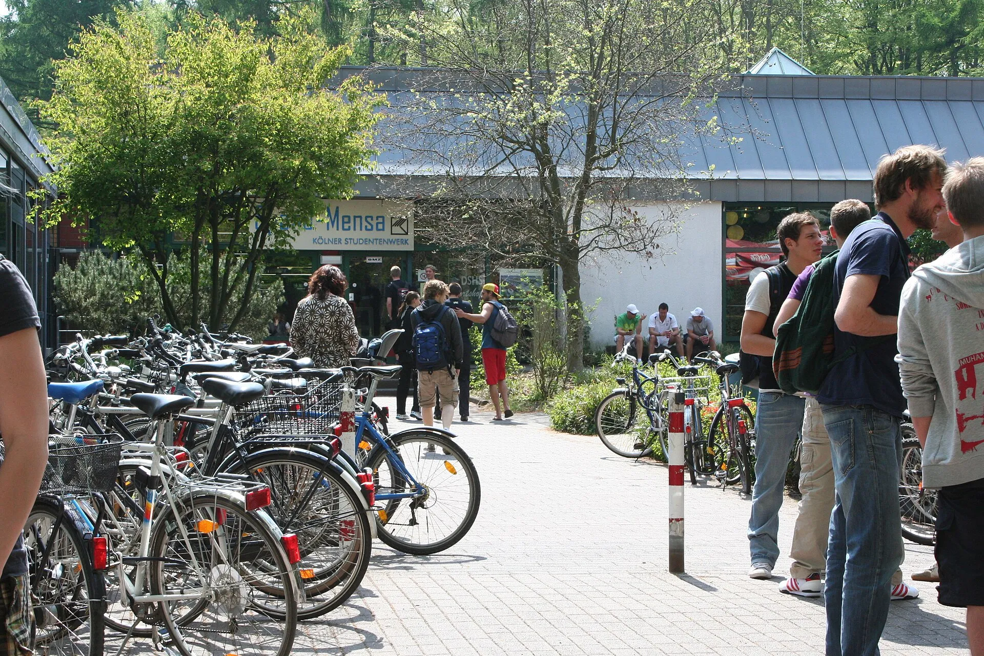 Studierende auf dem Campus der Deutschen Sporthochschule Köln