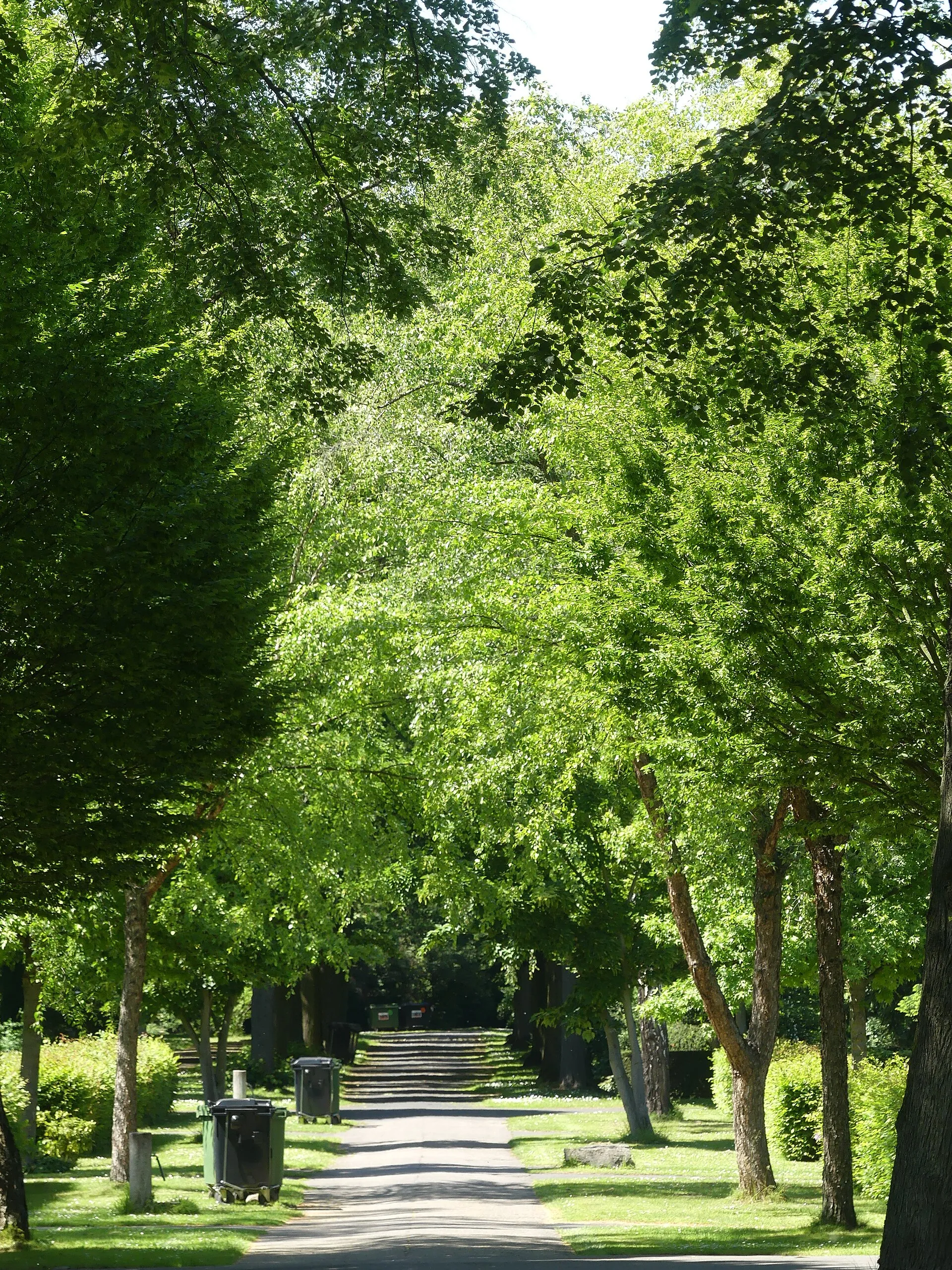 Großer Weg Richtung westen