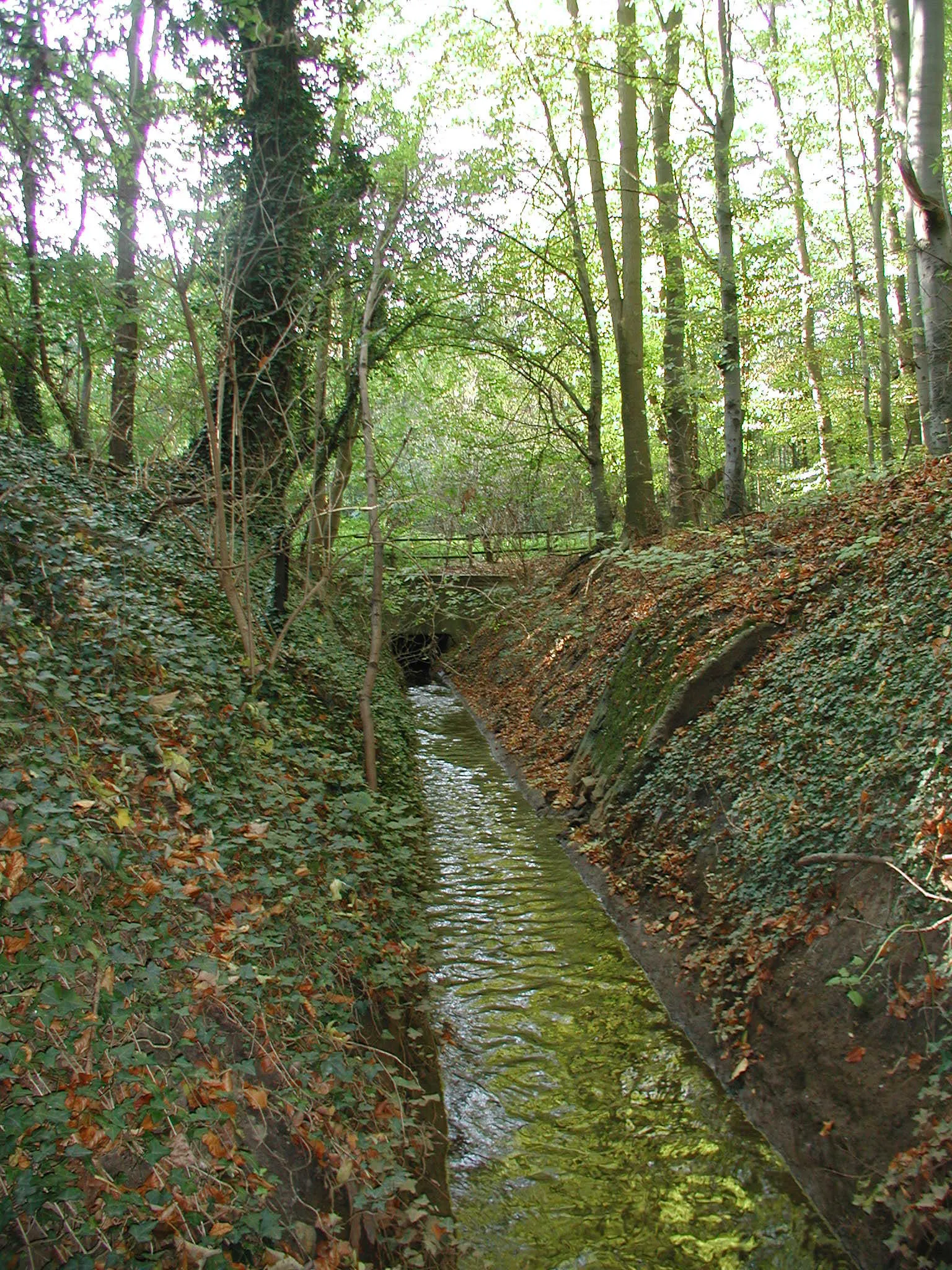 Duffesbach