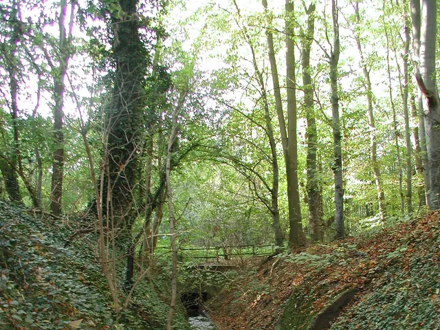 Duffesbach