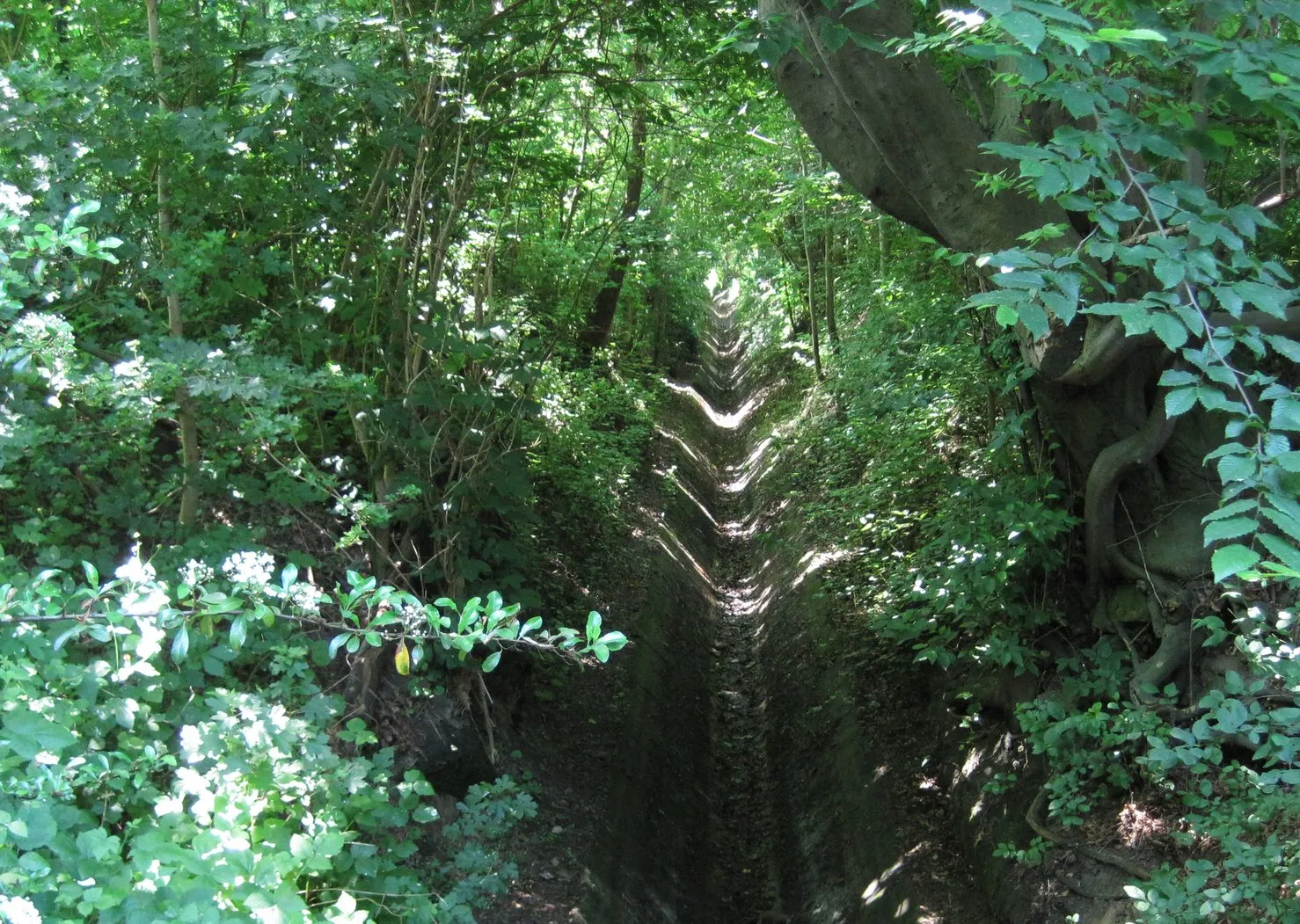 Dry-fallen Duffesbach. It loses its water to "südlicher Randkanal" in the west. Kameraposition 50° 53′ 24,4″ N, 6° 53′ 22,7″ O Dieses und weitere Bilder auf Ope