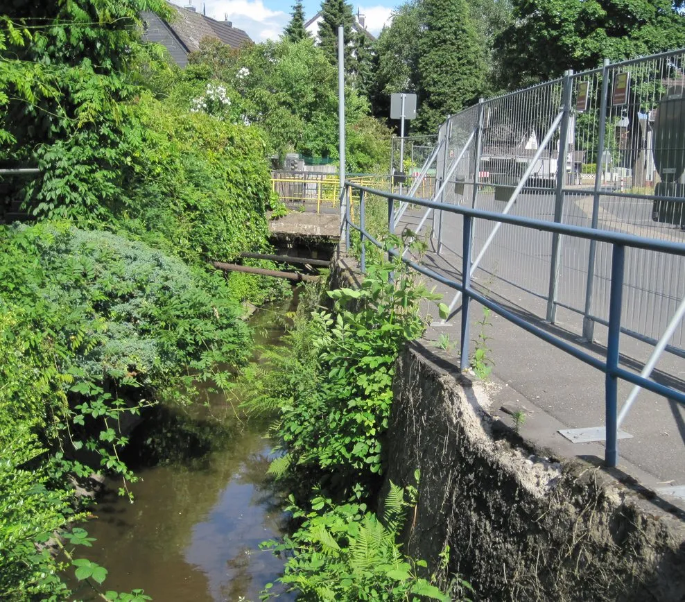 Faulbach (Rhine)