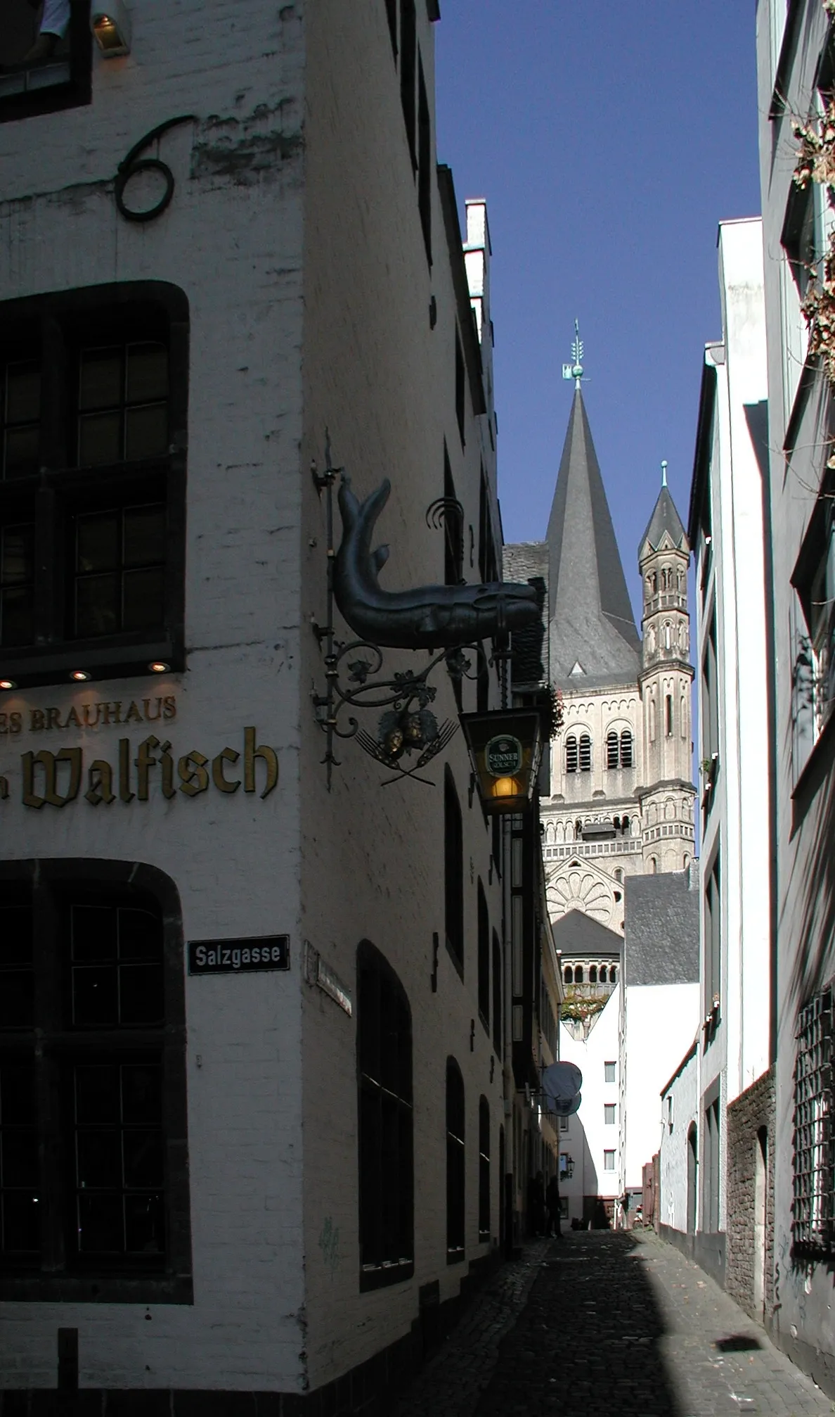 Blick von der Salzgasse zu Groß St. Martin (2007)