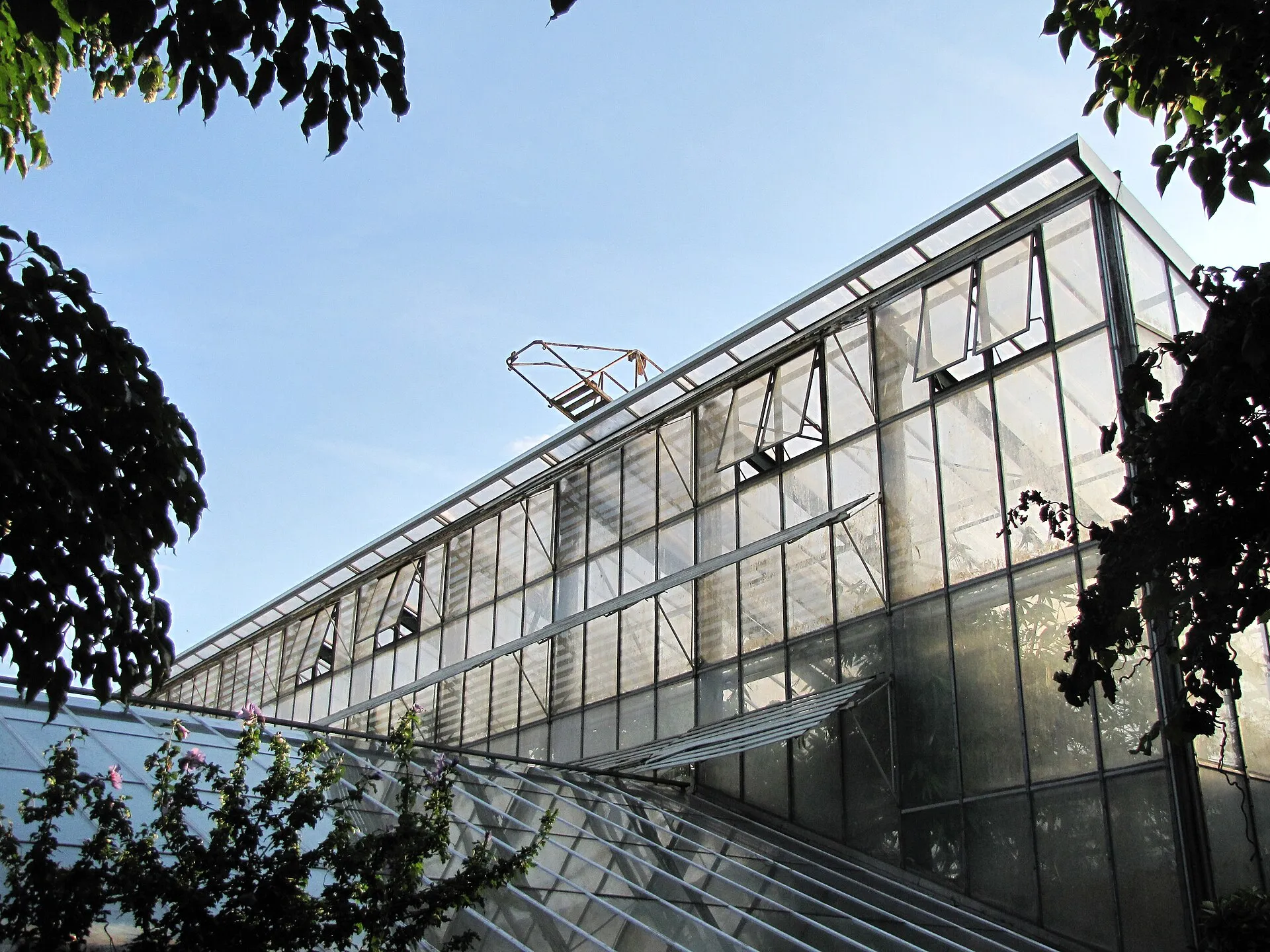 Flora (Köln): Grosses Tropenhaus (Bj 1953), 54 m lang, 10 m hoch