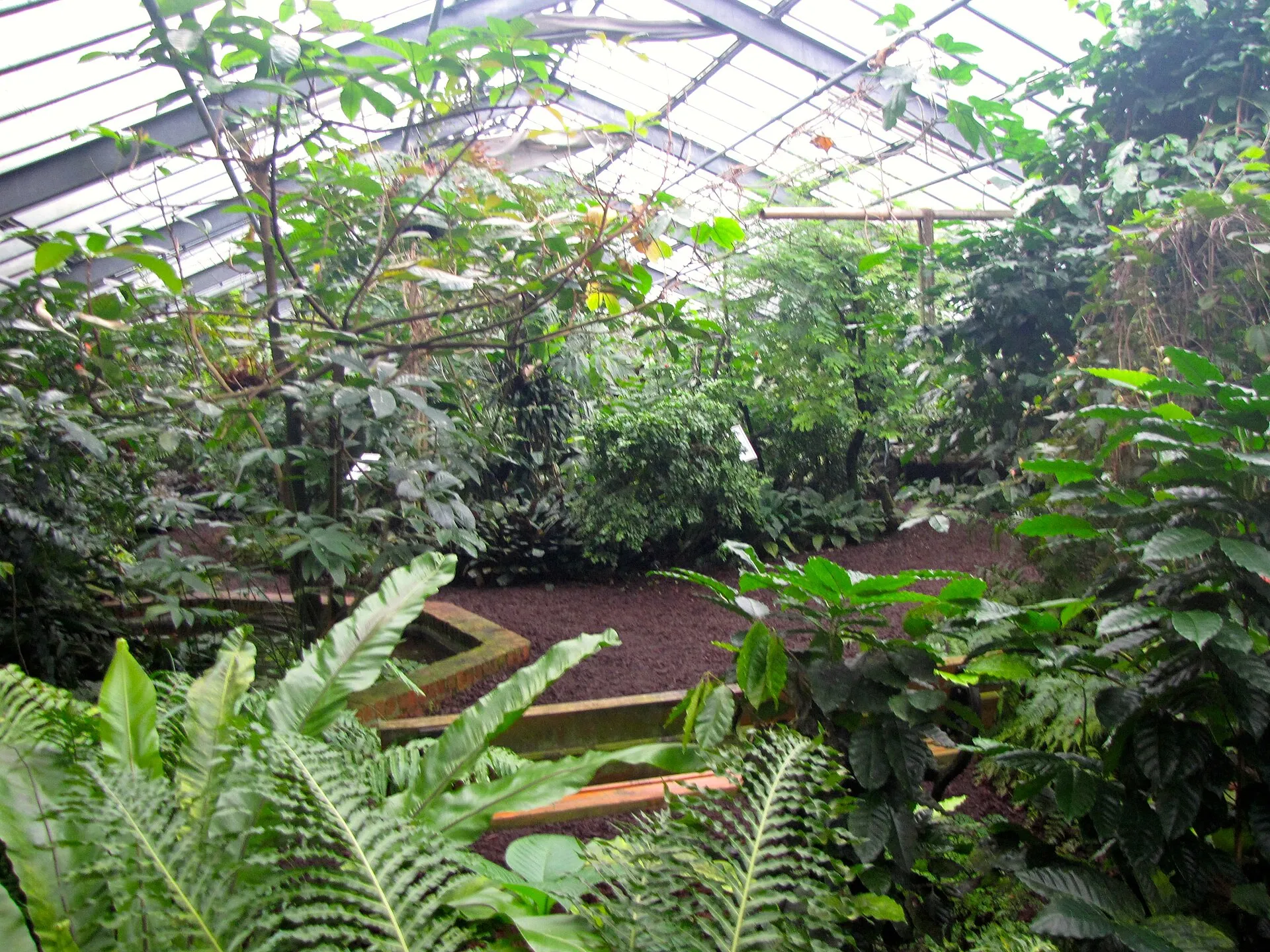 Flora Köln: Kleines Tropenhaus, errichtet 1950