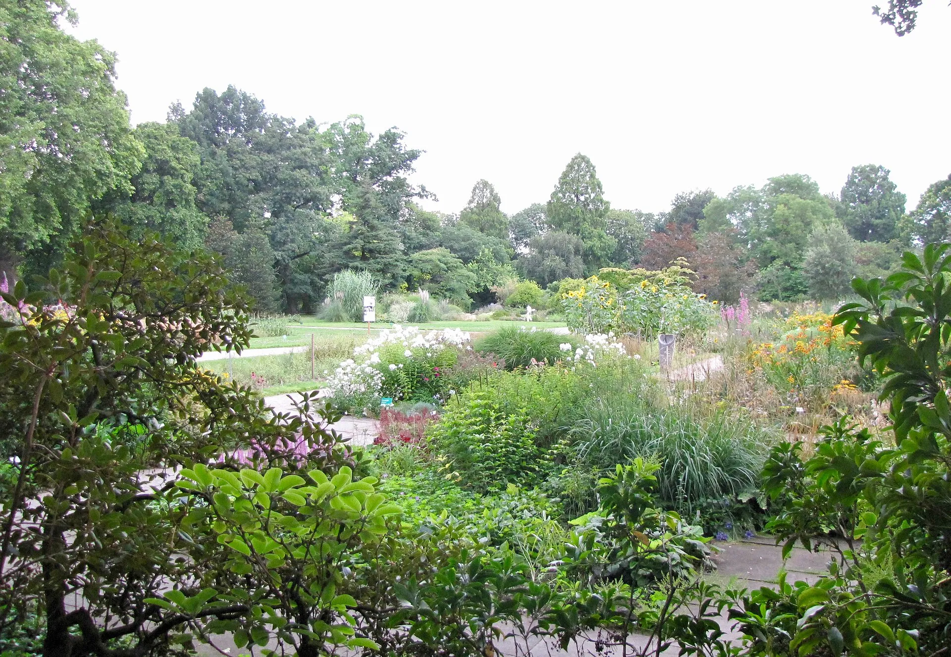 Flora (Köln): Blick über den botanischen Garten von in nordwestlicher Richtung. Gartendirektor Peter H.H. Esser gestaltete den Botanischen Garten 1912 nicht nur