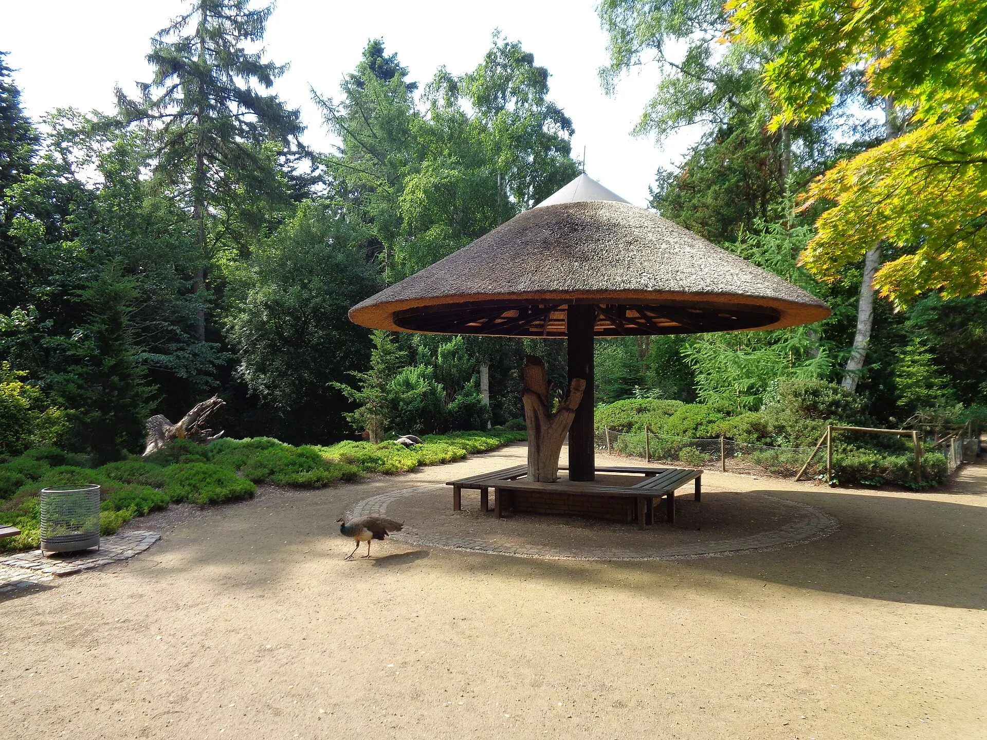 Wetterpilz im Forstbotanischen Garten Köln - Ansicht von vorne mit Pfau