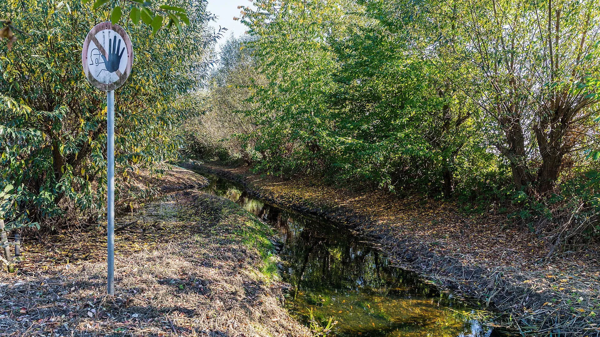 Frechener Bach, in einem naturnahen Flussbett, zwischen Stadtbahnhaltestelle Haus Vorst und P&R-Parkhaus Haus Vorst. Mit Verbotsschild „D-P006 - Zutritt für Unb