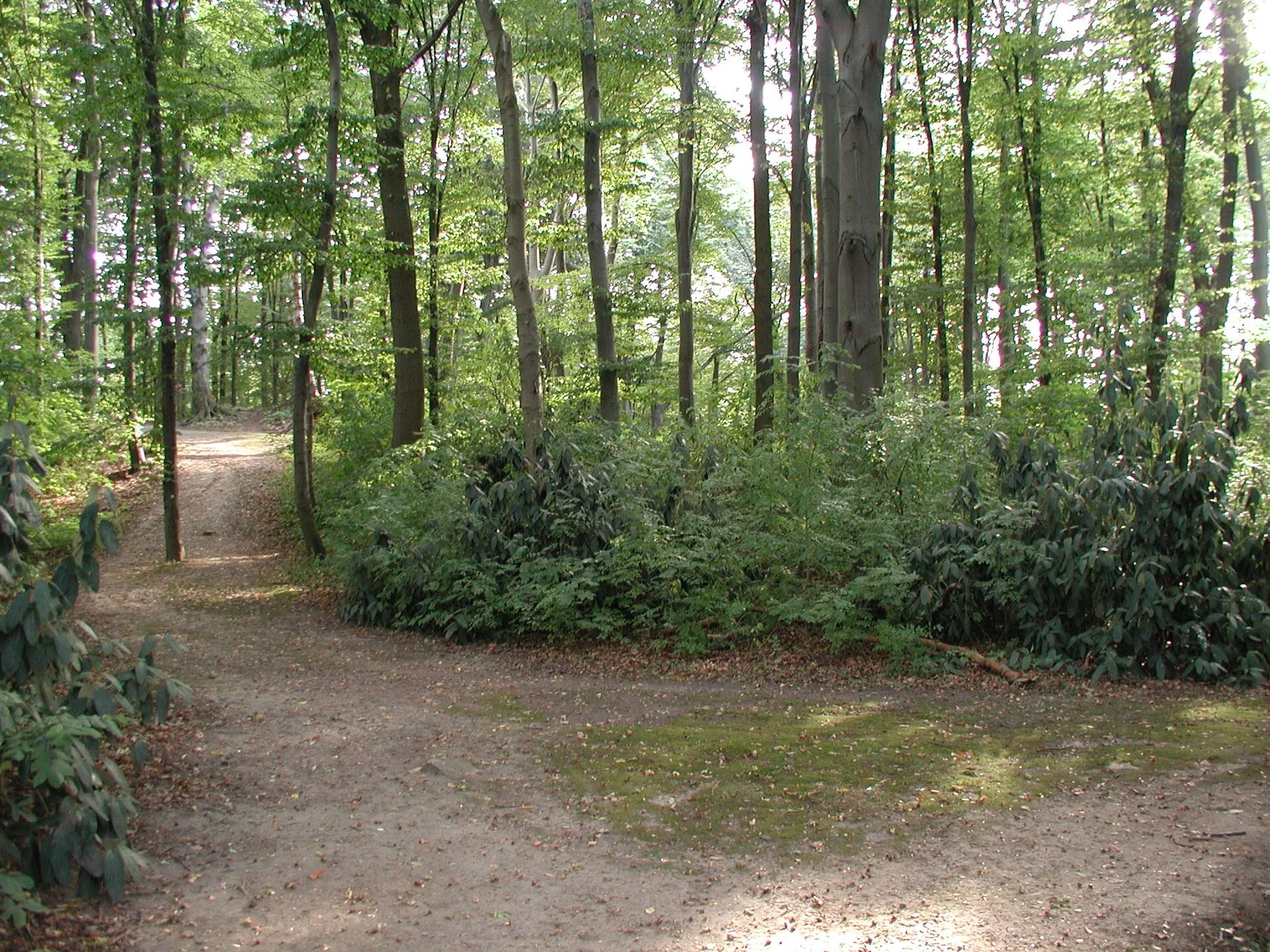 Koeln-Fritz-Enke-Volkspark
