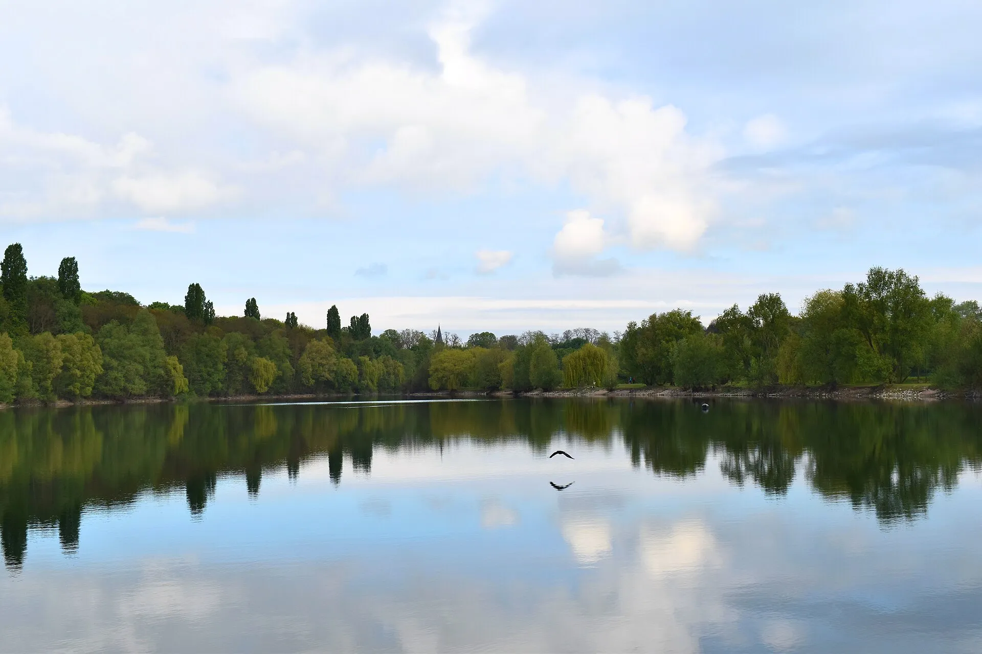 A morning at lake Fühlingen, a nature reserve in the north of Cologne, Germany, which offers a home for many protected and rare animal and plant species.