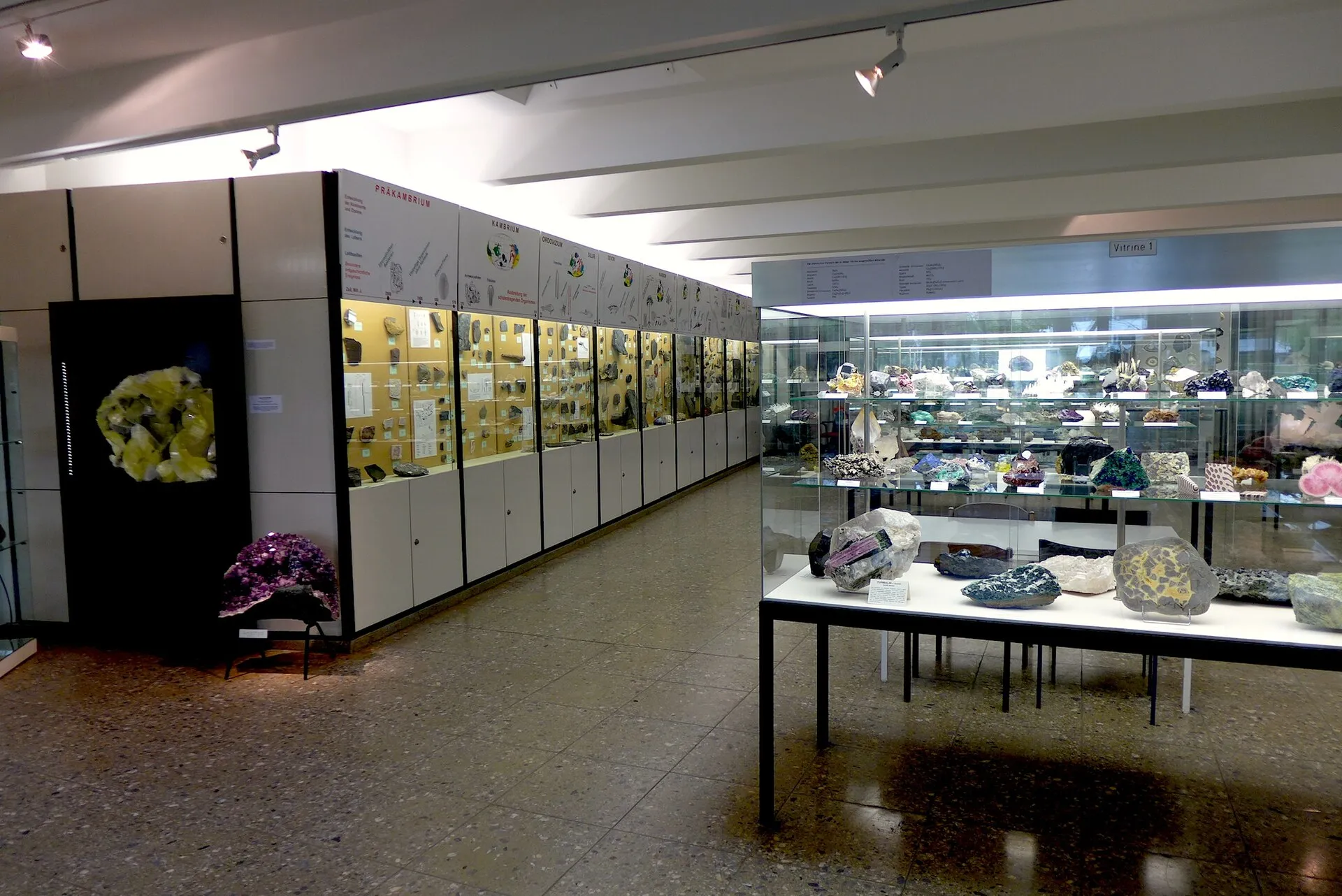 GeoMuseum