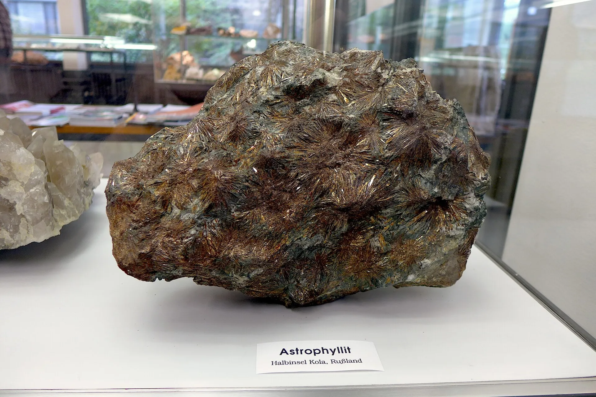 Astrophyllit von der Halbinsel Kola , Russland – ausgestellt im GeoMuseum der Universität zu Köln.