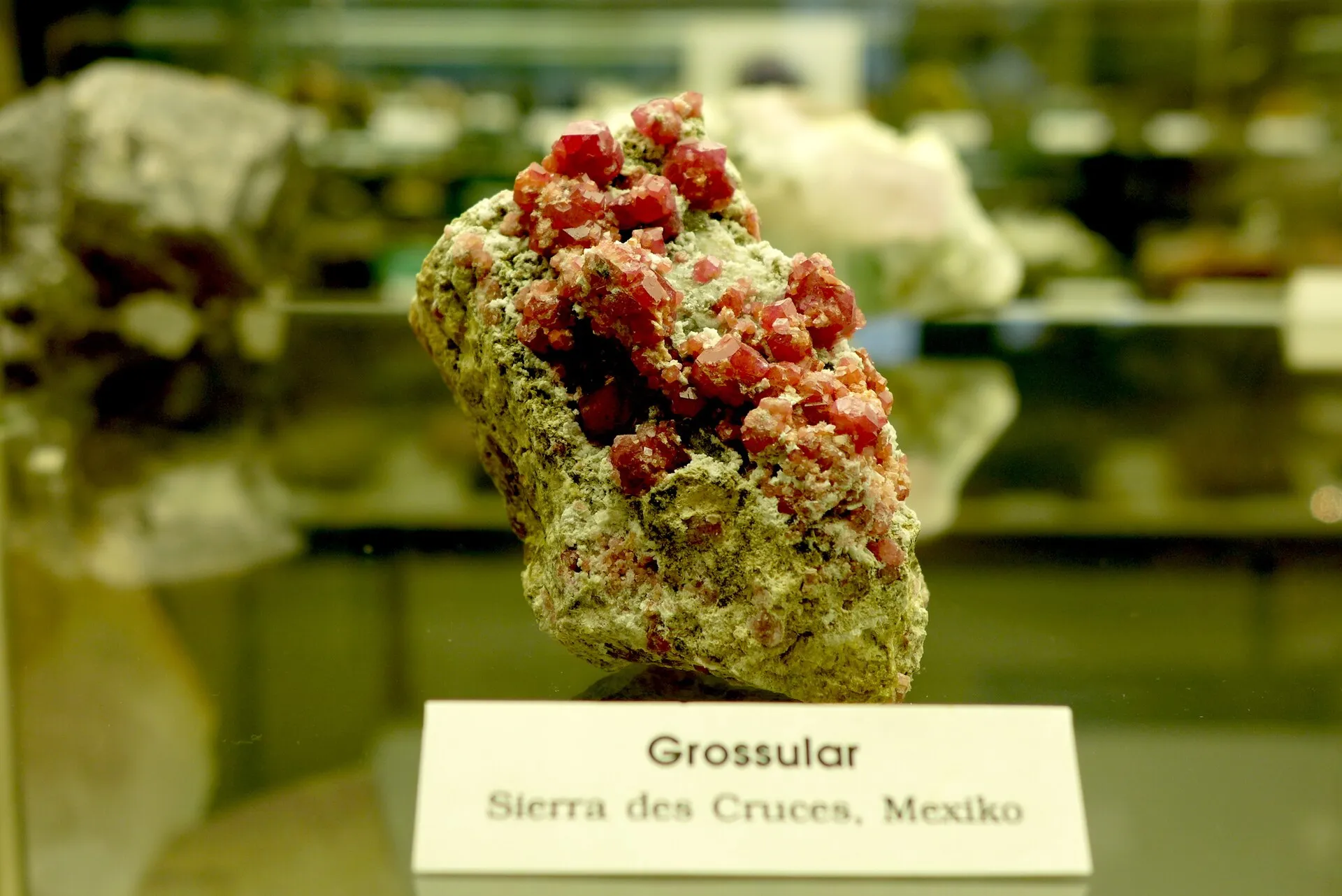 Grossular aus der Sierra des Cruces (eigentlich Las Cruces), Mexiko – ausgestellt im GeoMuseum der Universität zu Köln.