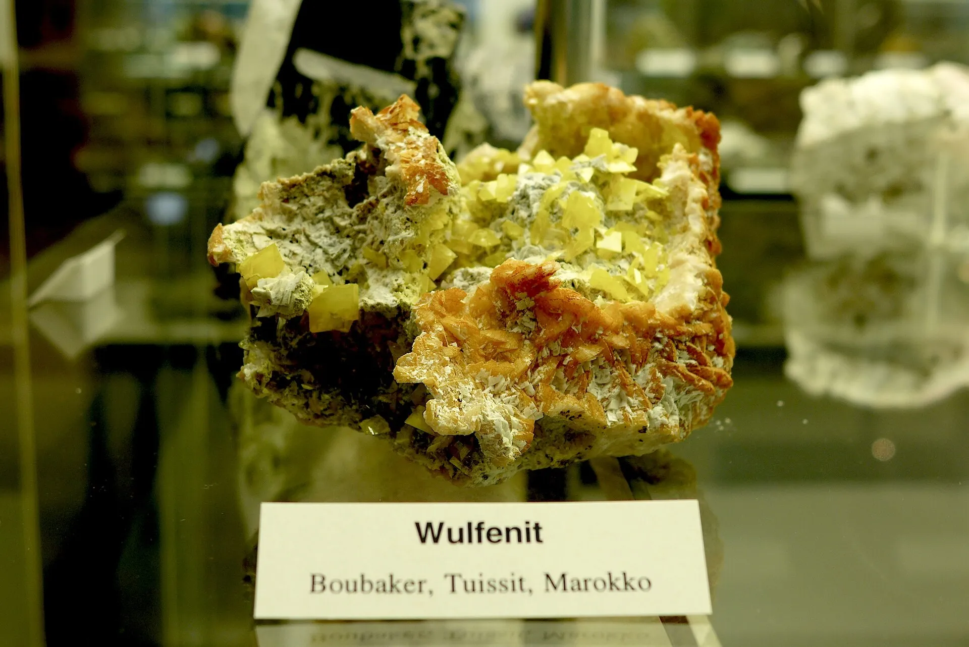 Wulfenit aus Boubaker, Tuissit, Marokko – ausgestellt im GeoMuseum der Universität zu Köln.