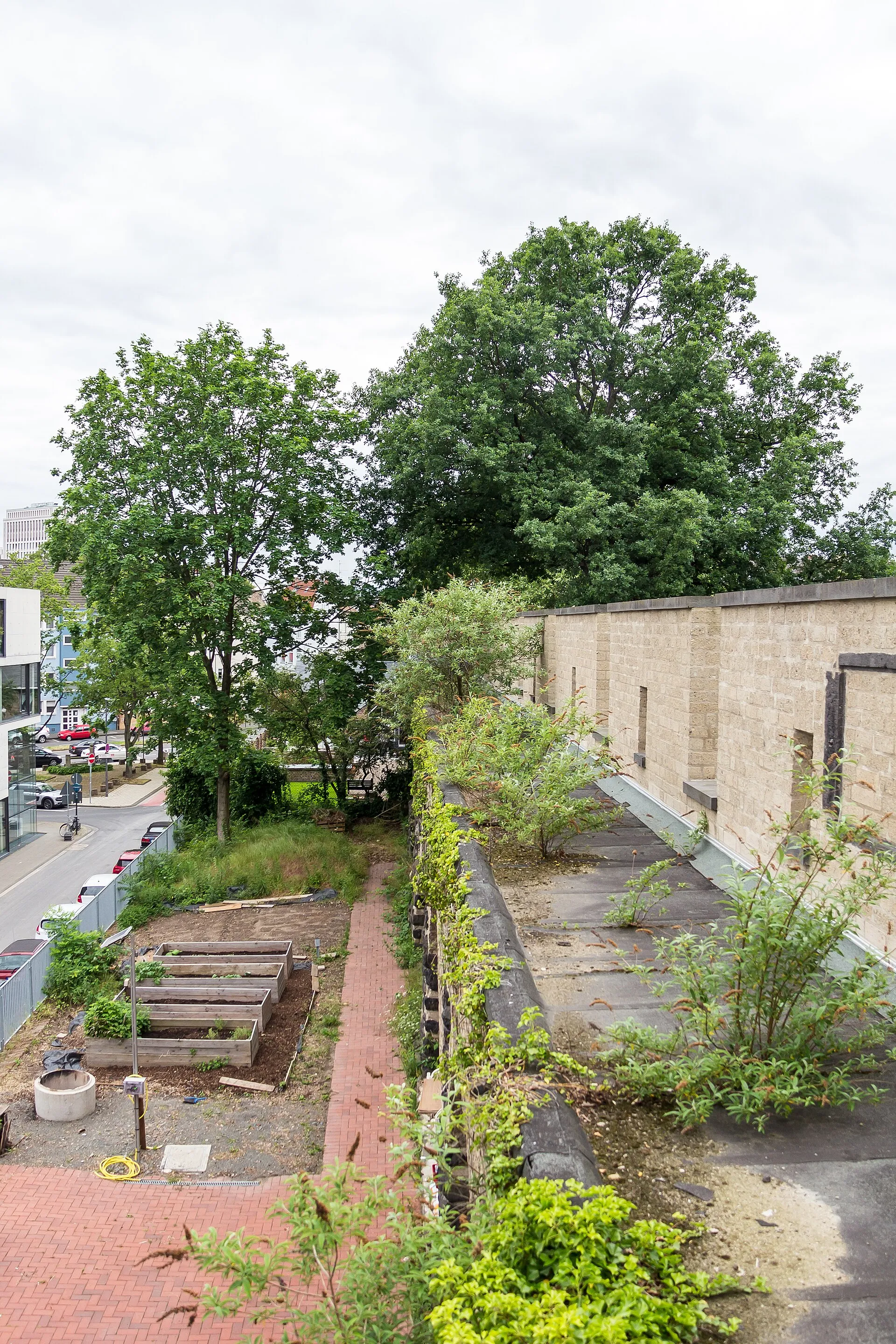 Gereonsmühle Köln mit Stadtmauer. Blick vom Mühlengang auf die Stadtmauer stadtseitig (rechts) und den Garten