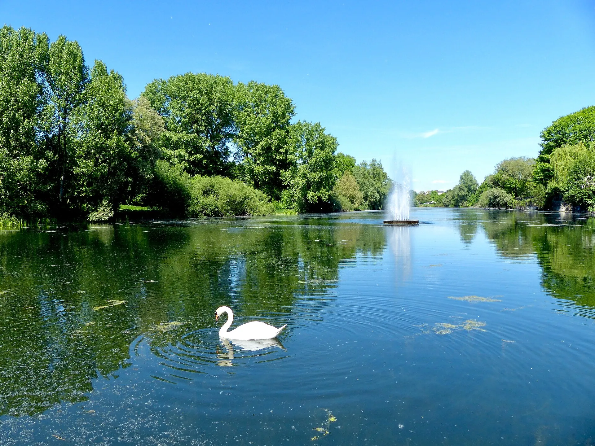 Rheinaltarm (Groov) bei Köln-Zündorf
