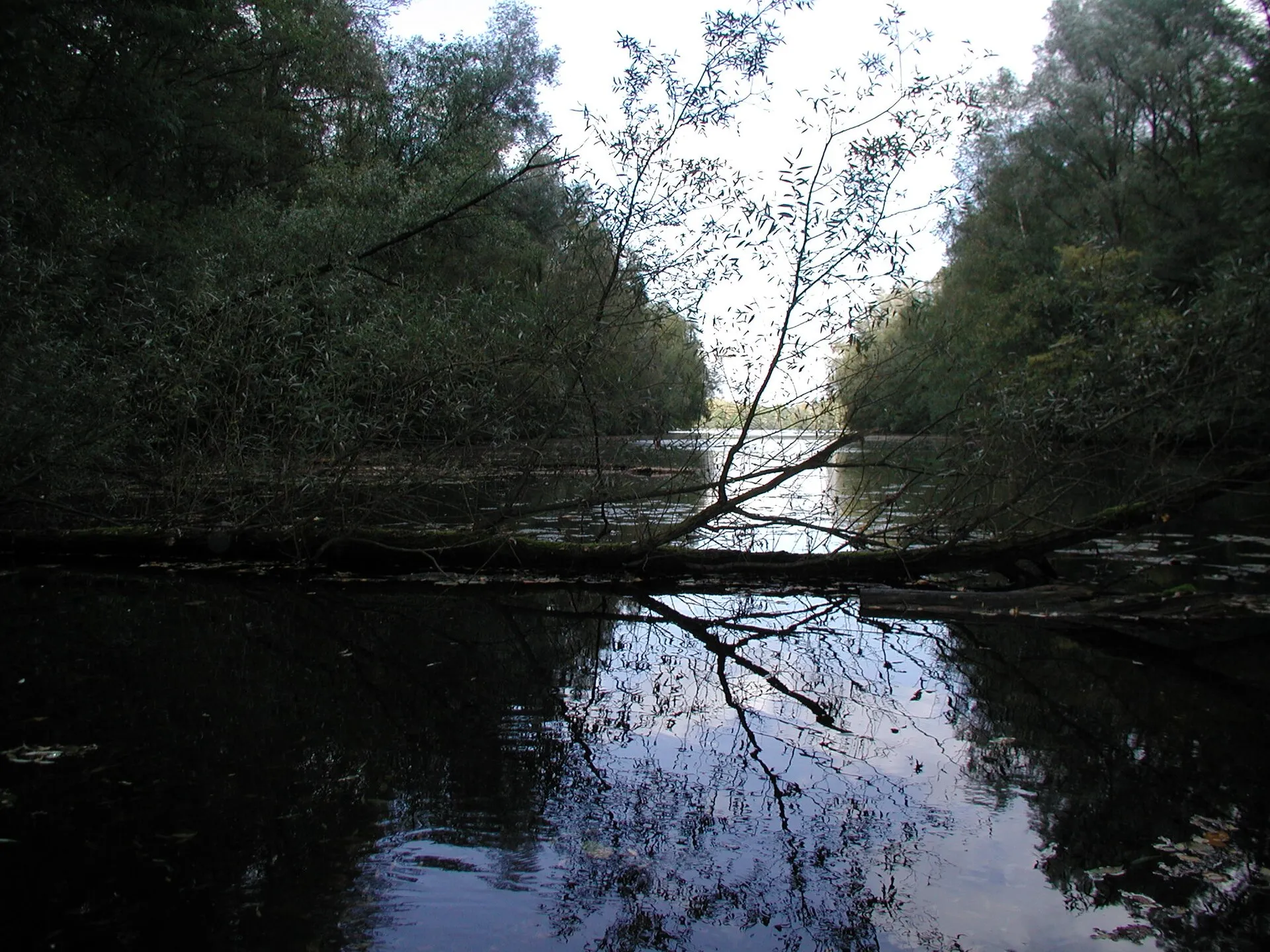 Heider Bergsee , Brühl/Rheinl.