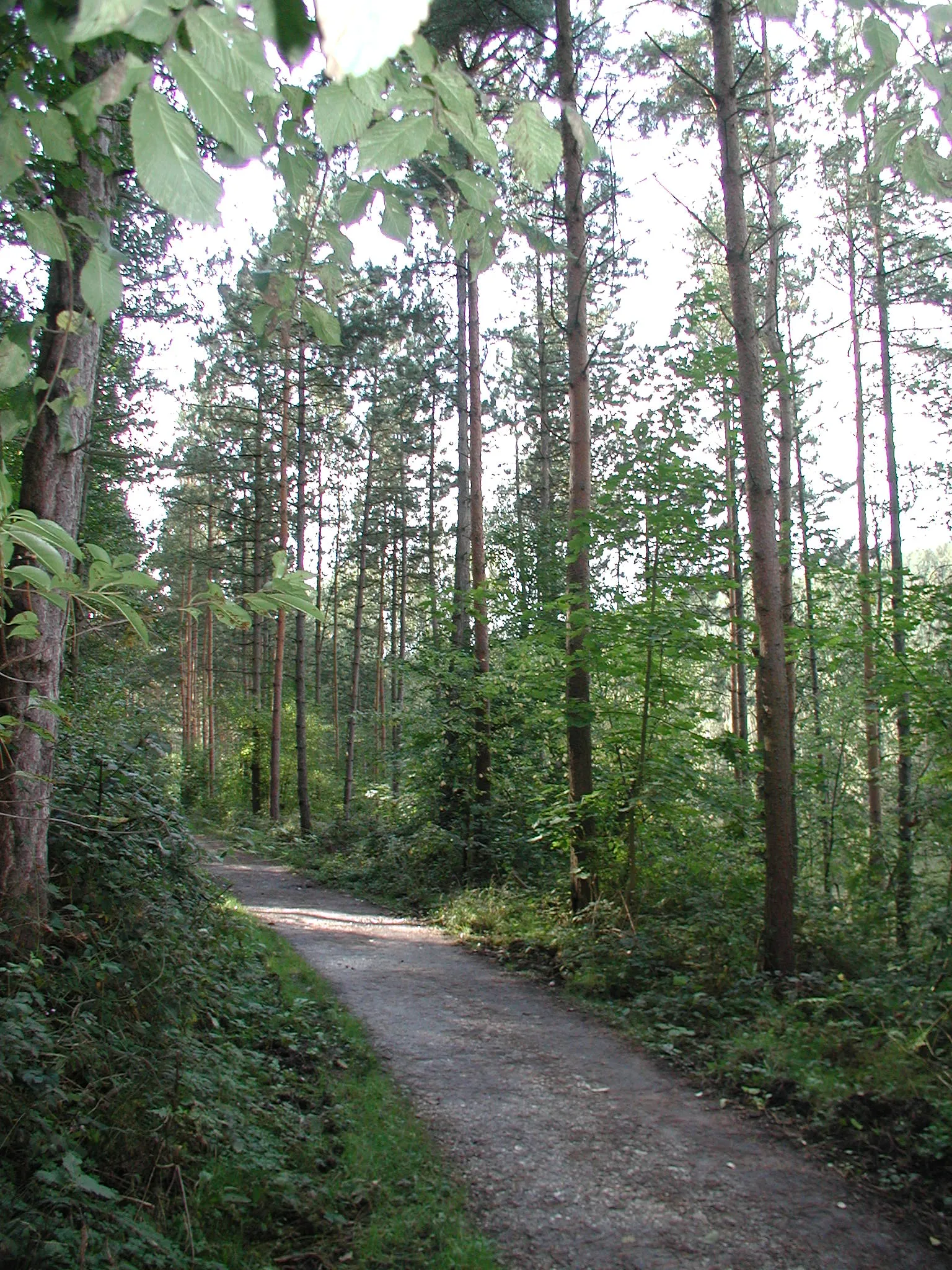 Heider Bergsee , Brühl/Rheinl.