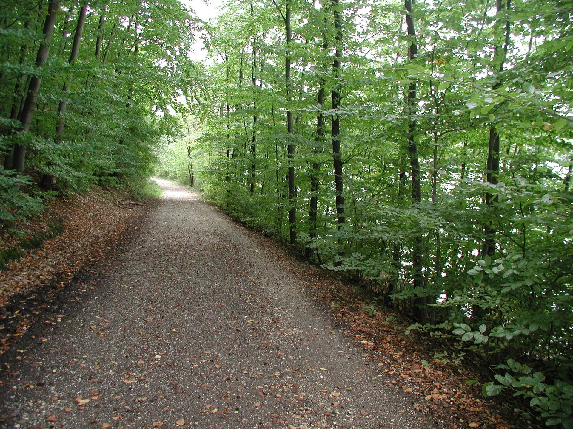 Heider Bergsee , Brühl/Rheinl.