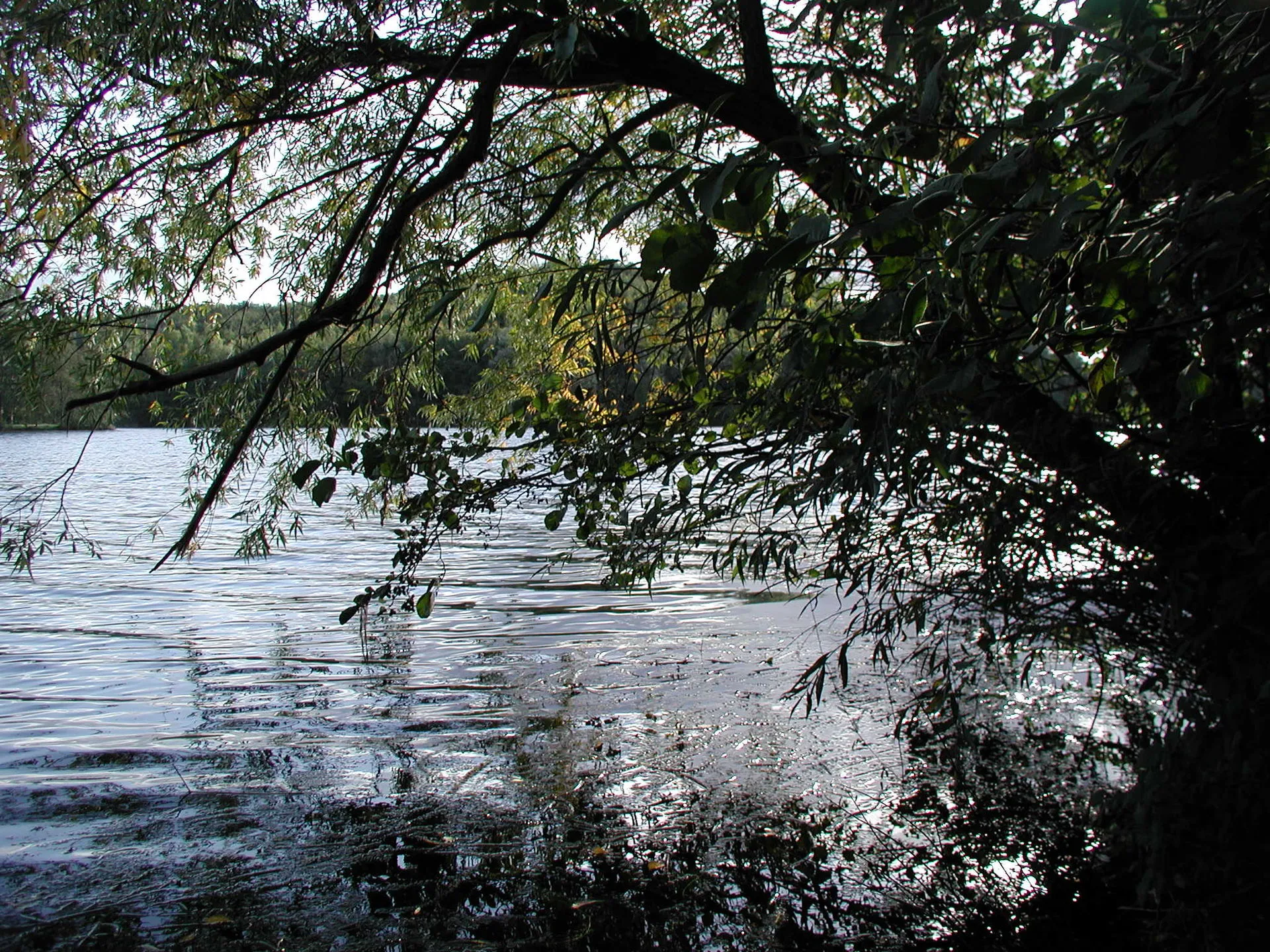 Heider Bergsee , Brühl/Rheinl.