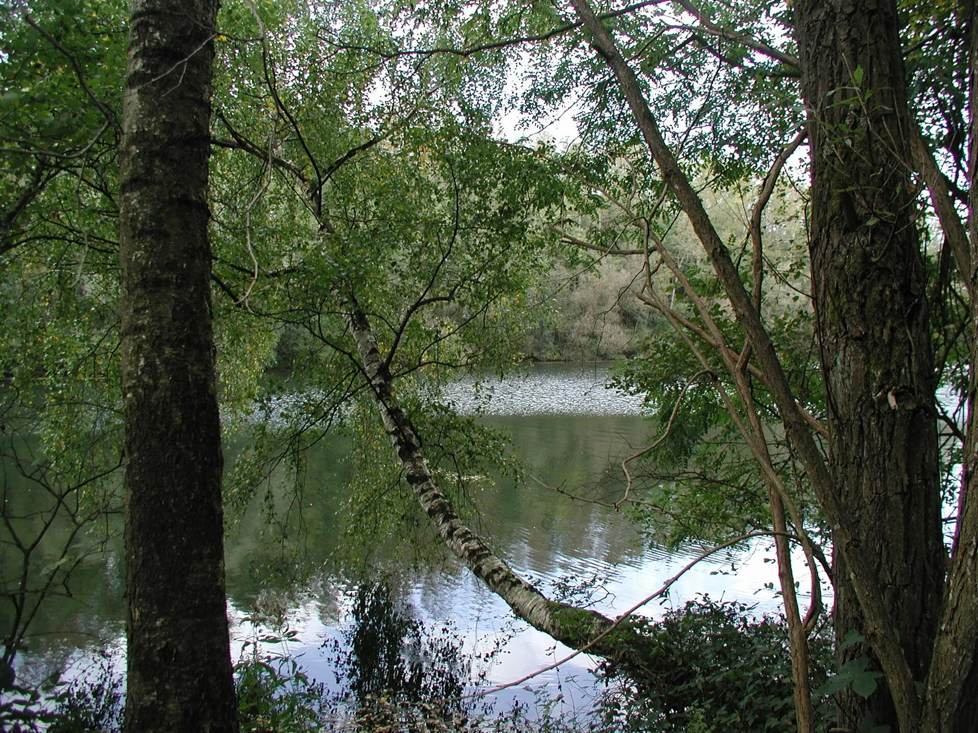 Heider Bergsee , Brühl/Rheinl.