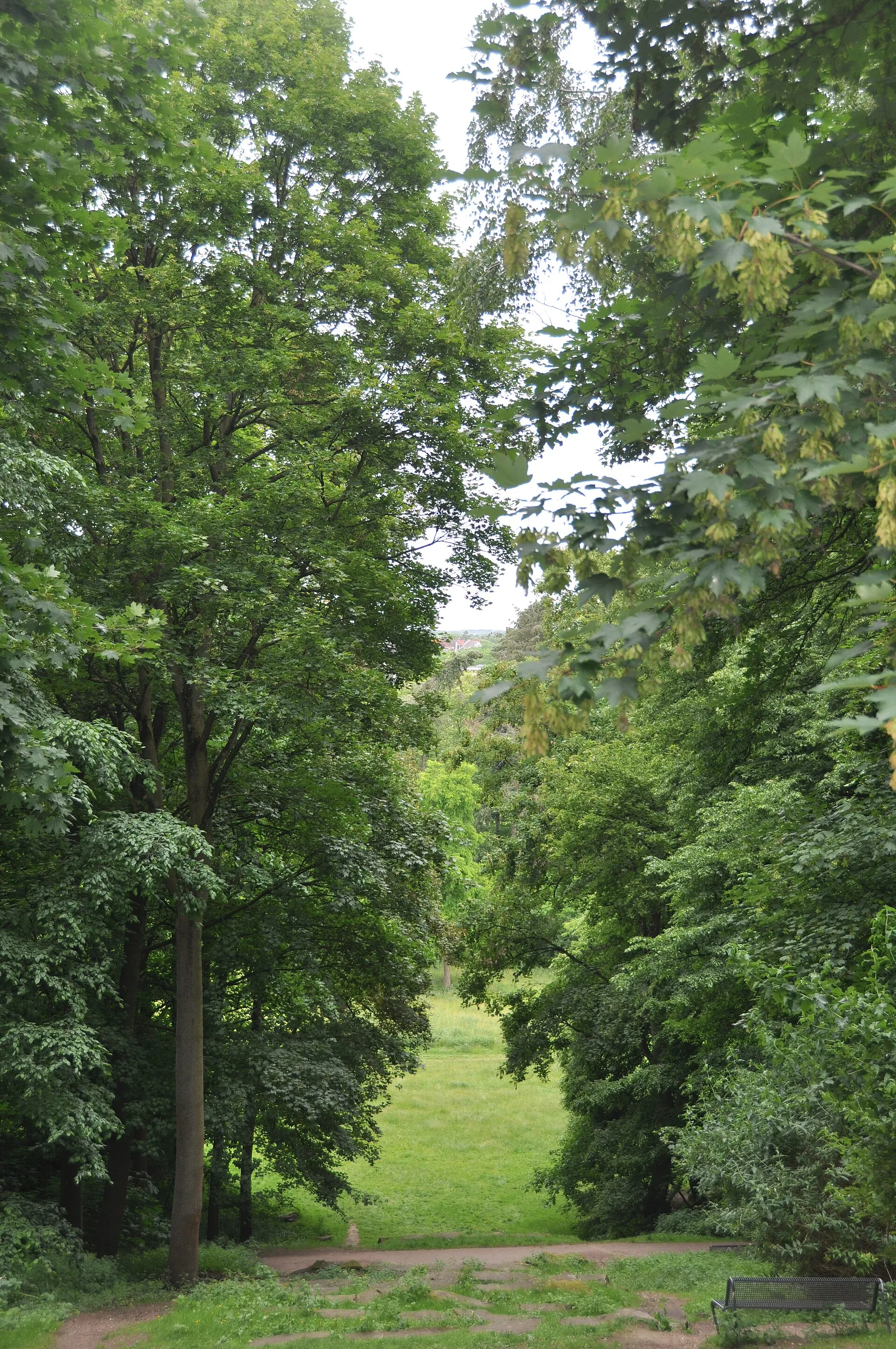 Herkulesberg, Blick nach Norden - LSG-Innerer Gruenguertel