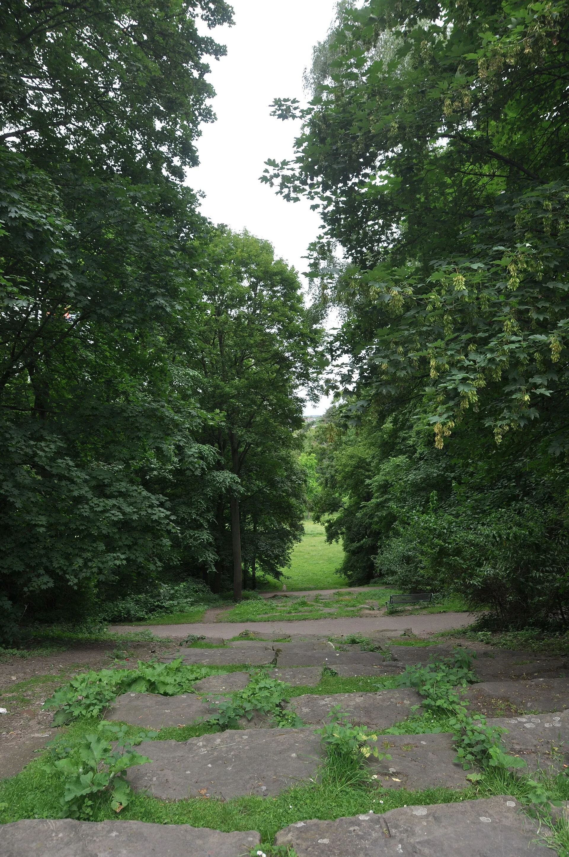Herkulesberg, Blick nach Norden - LSG-Innerer Gruenguertel