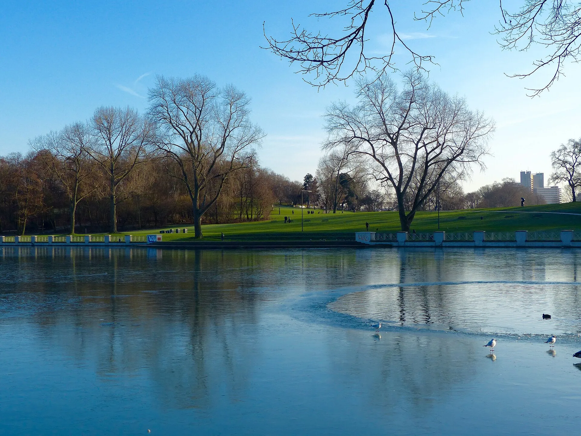 Aachener Weiher im Januar 2016