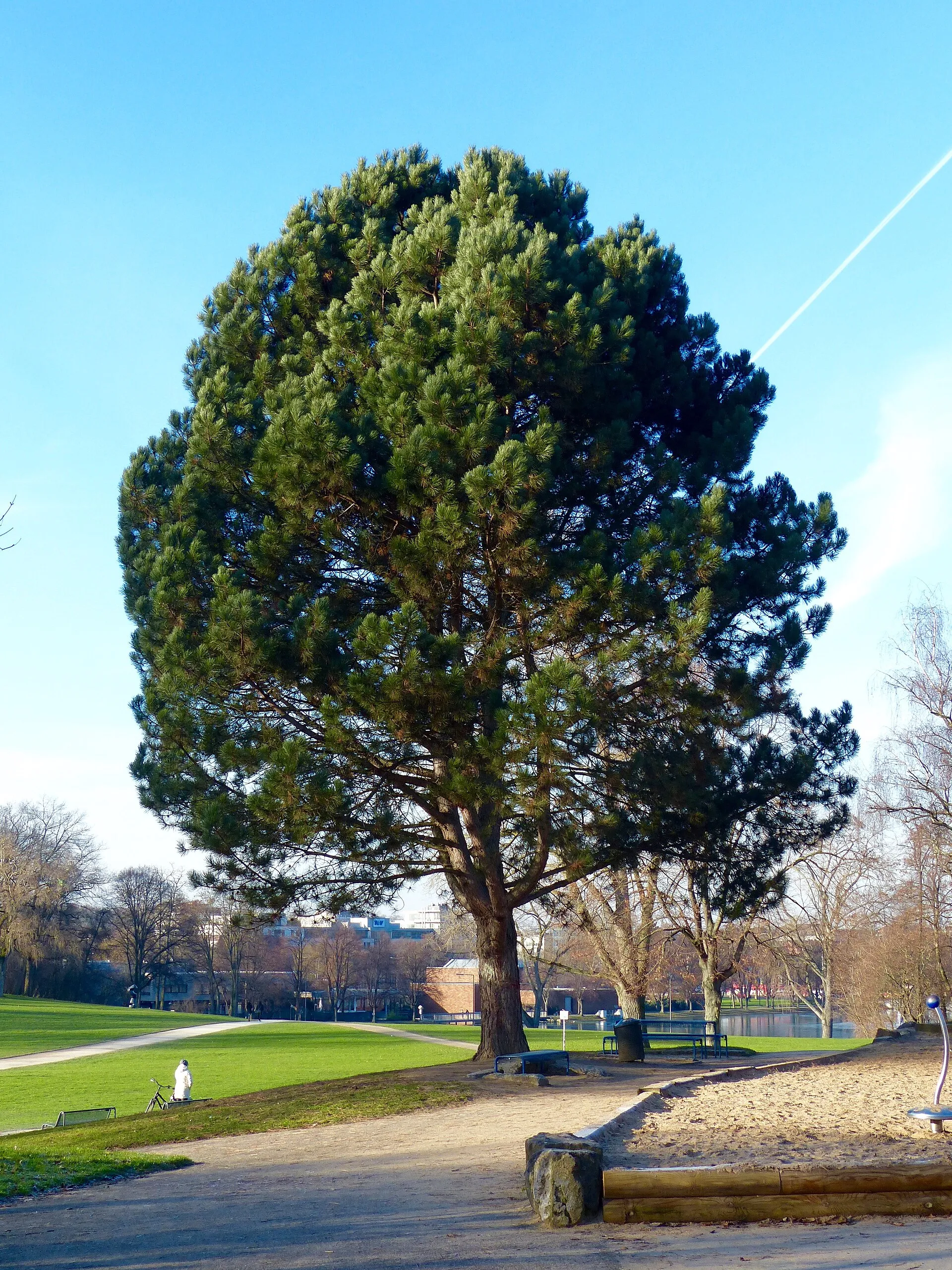 Hiroshima-Nagasaki-Park in Köln
