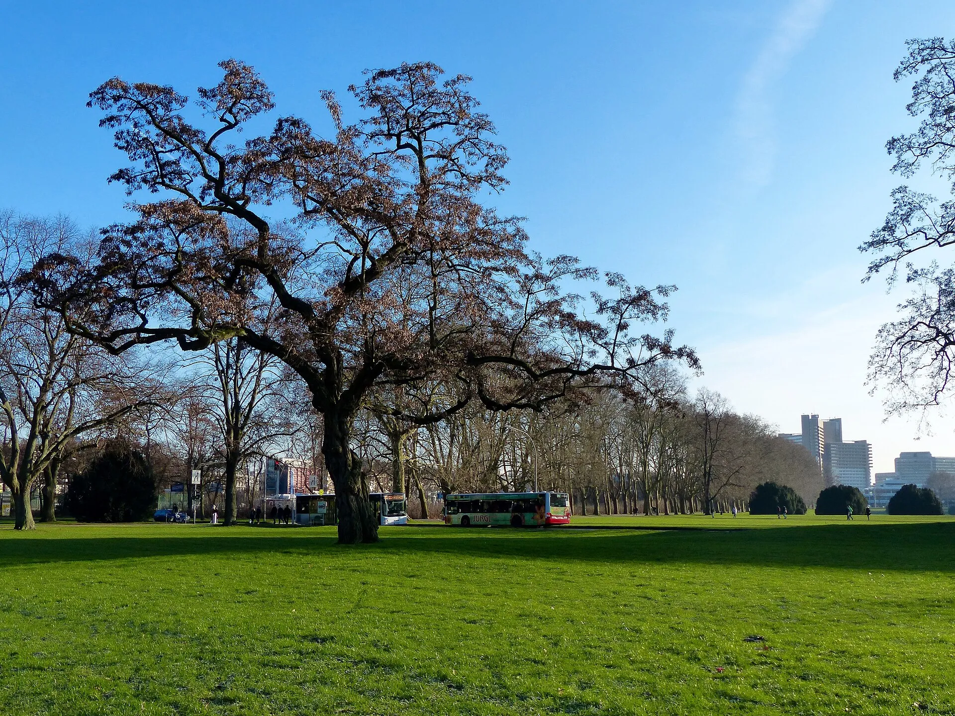 Hiroshima-Nagasaki-Park in Köln