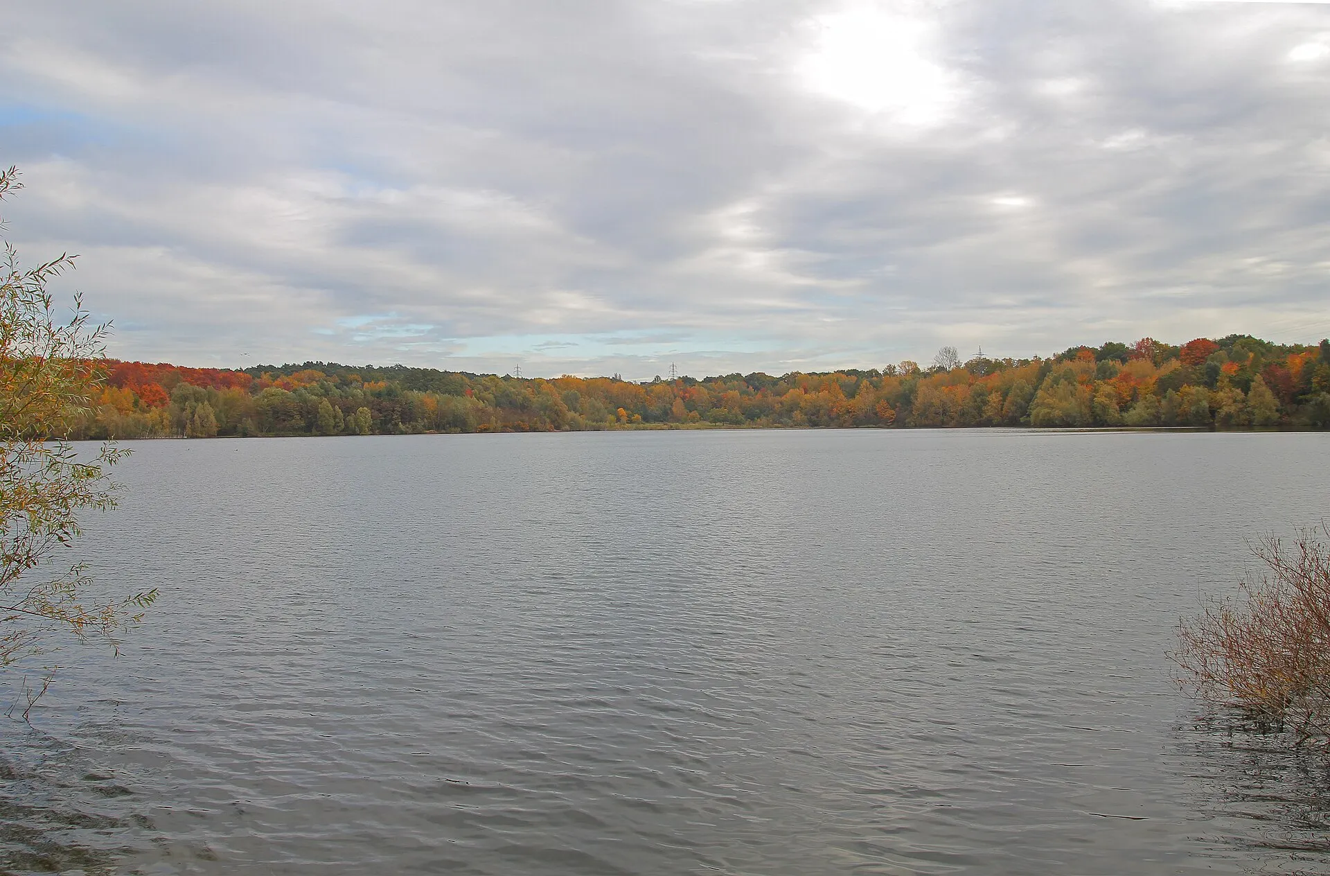 Höhenfelder See in Cologne