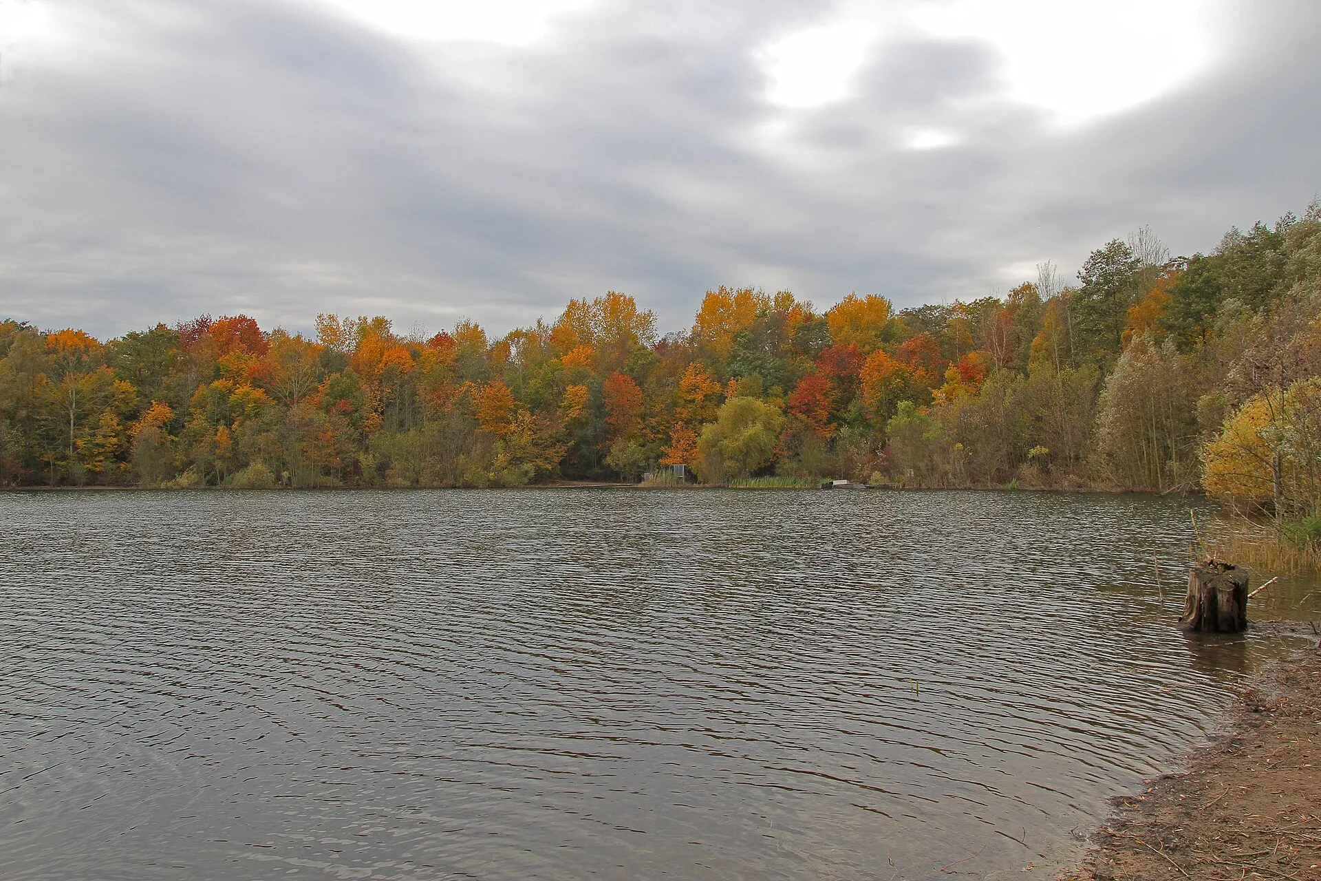 Höhenfelder See in Cologne