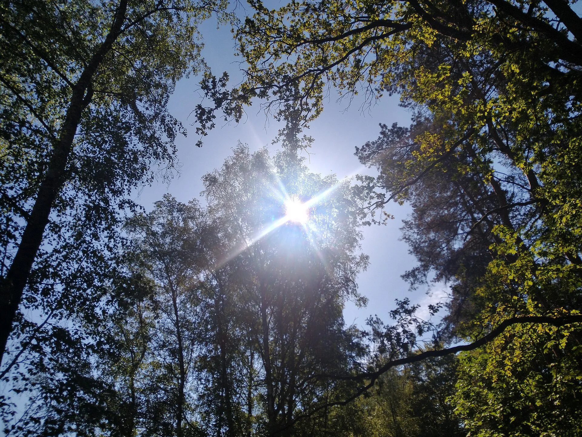 Die wundervolle Sonne scheint am Landschaftsschutzgebiet Höhenfelder See