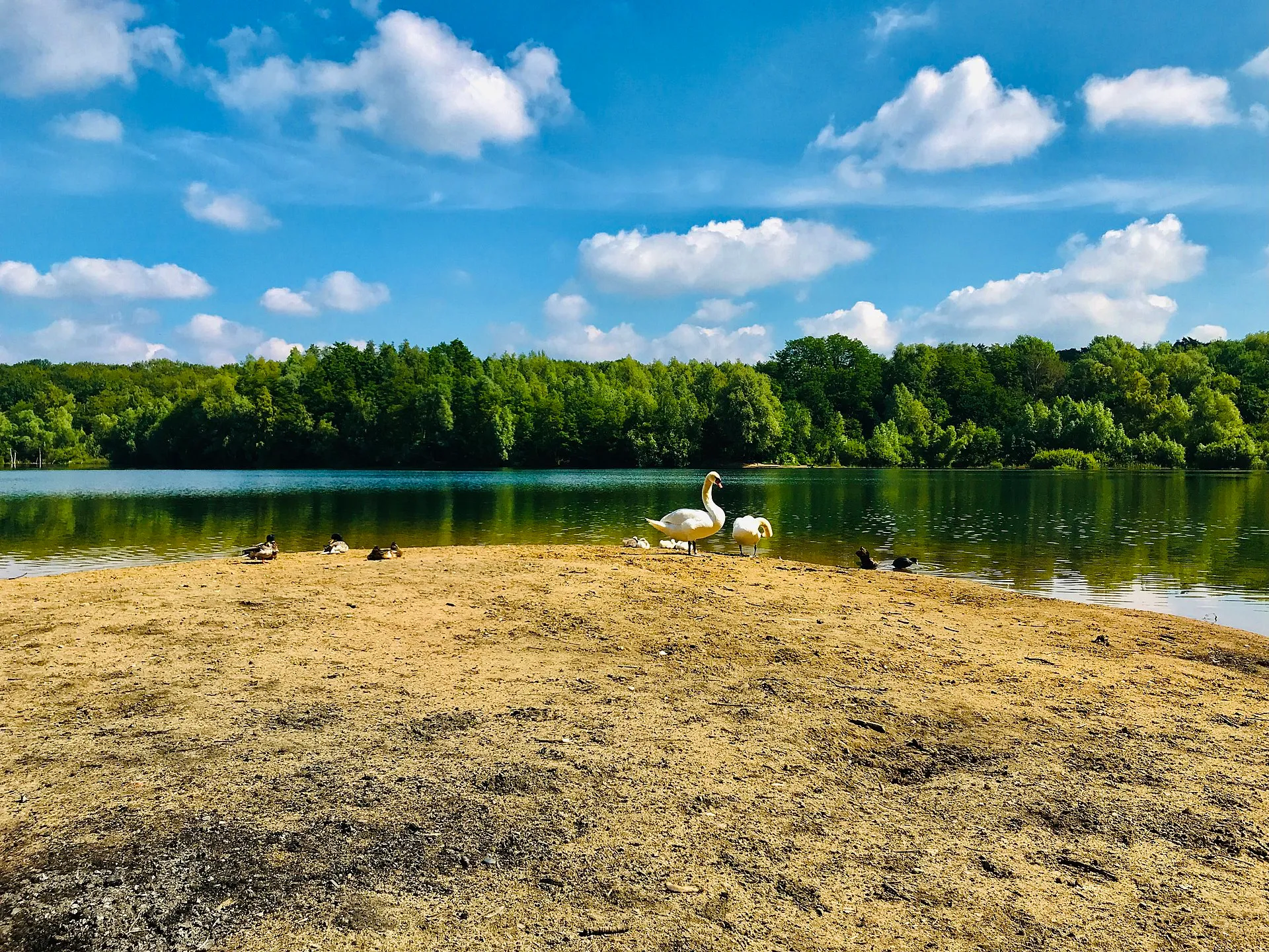 Höhenfelder See Köln