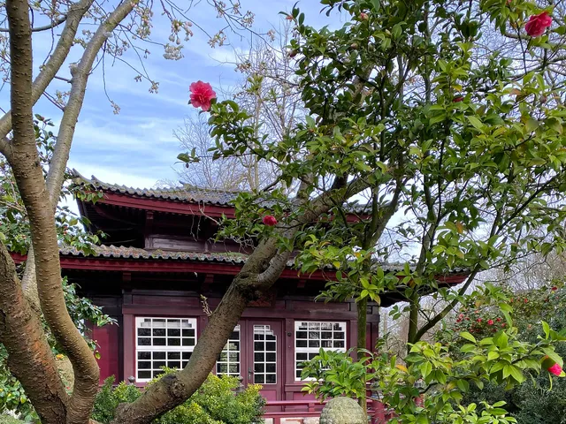 Japanischer Garten