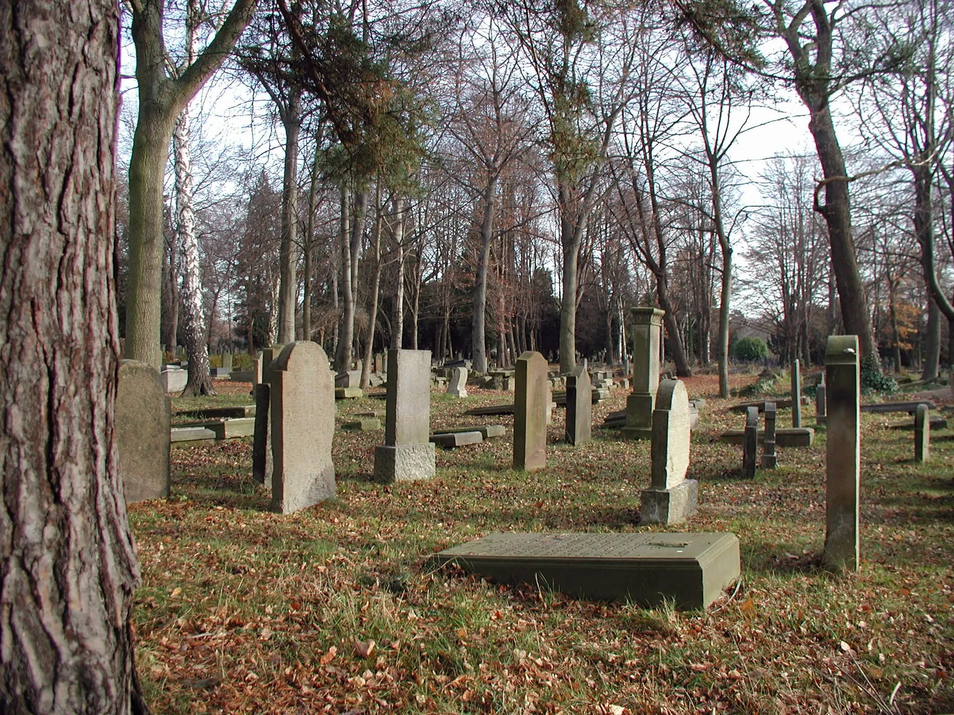 Jüdischer Friedhof Köln-Deutz