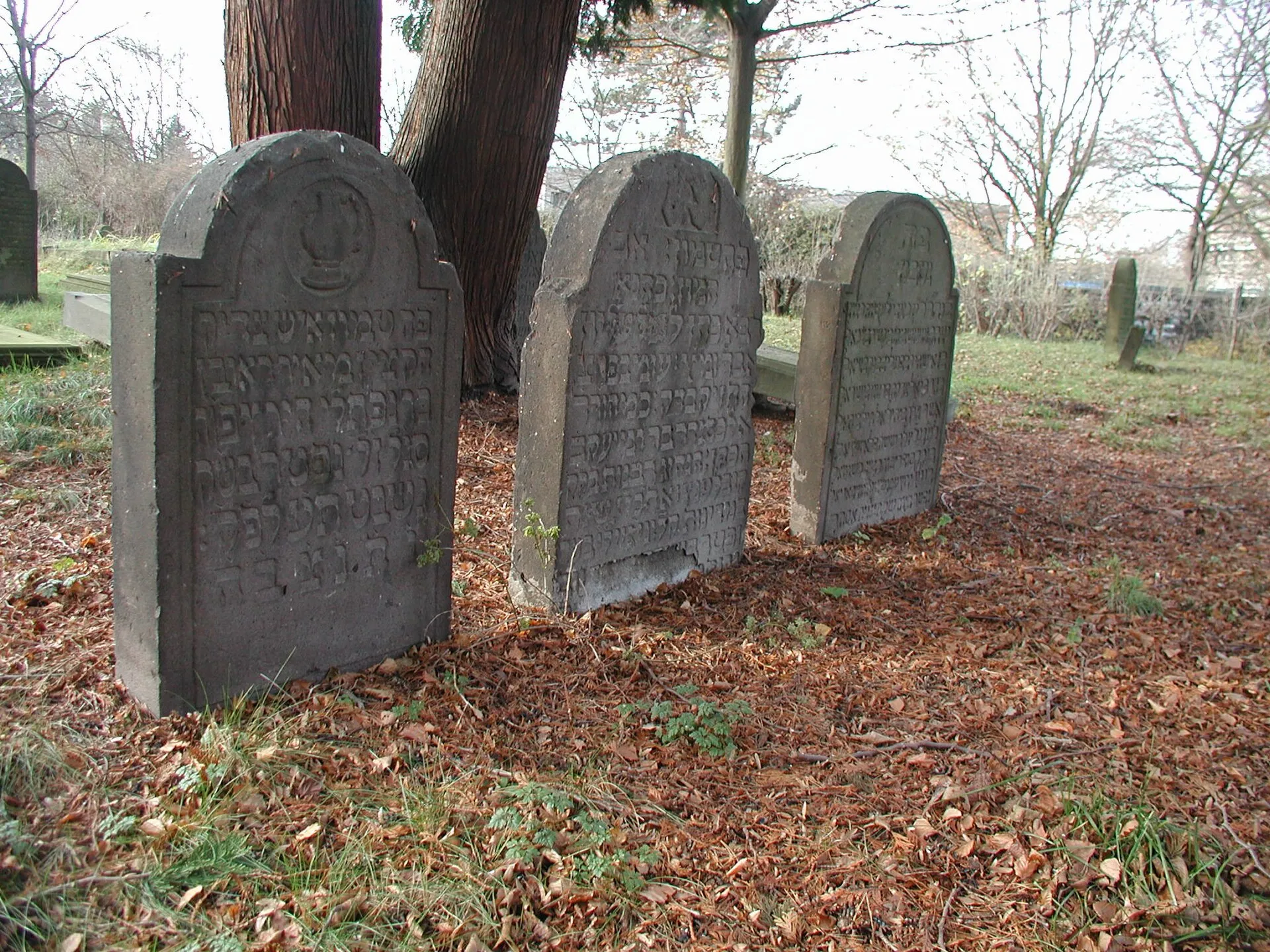Köln Deutz, Jüdischer Friedhof.