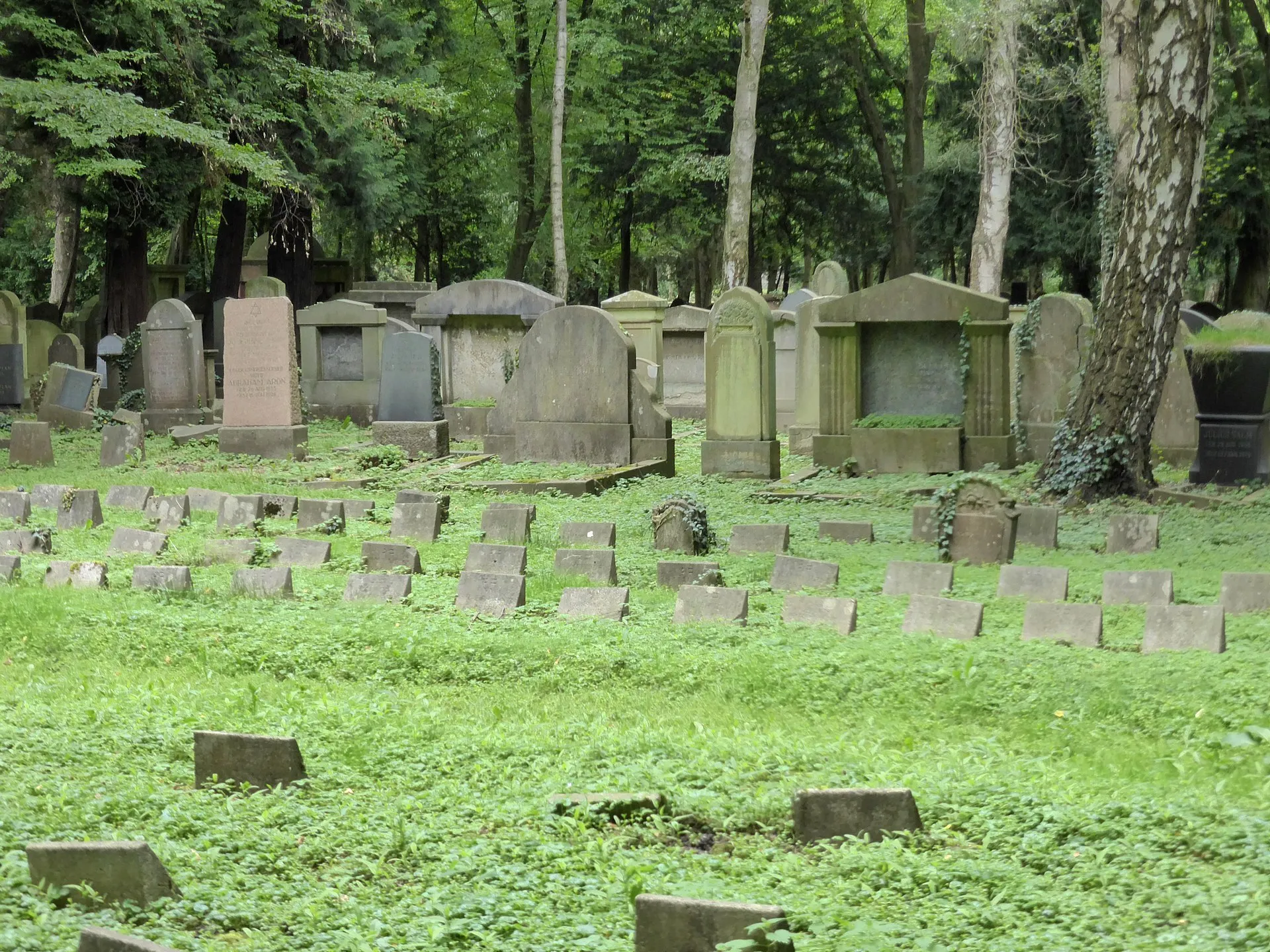 Jüdischer Friedhof Köln-Bocklemünd - Gräberfelder.